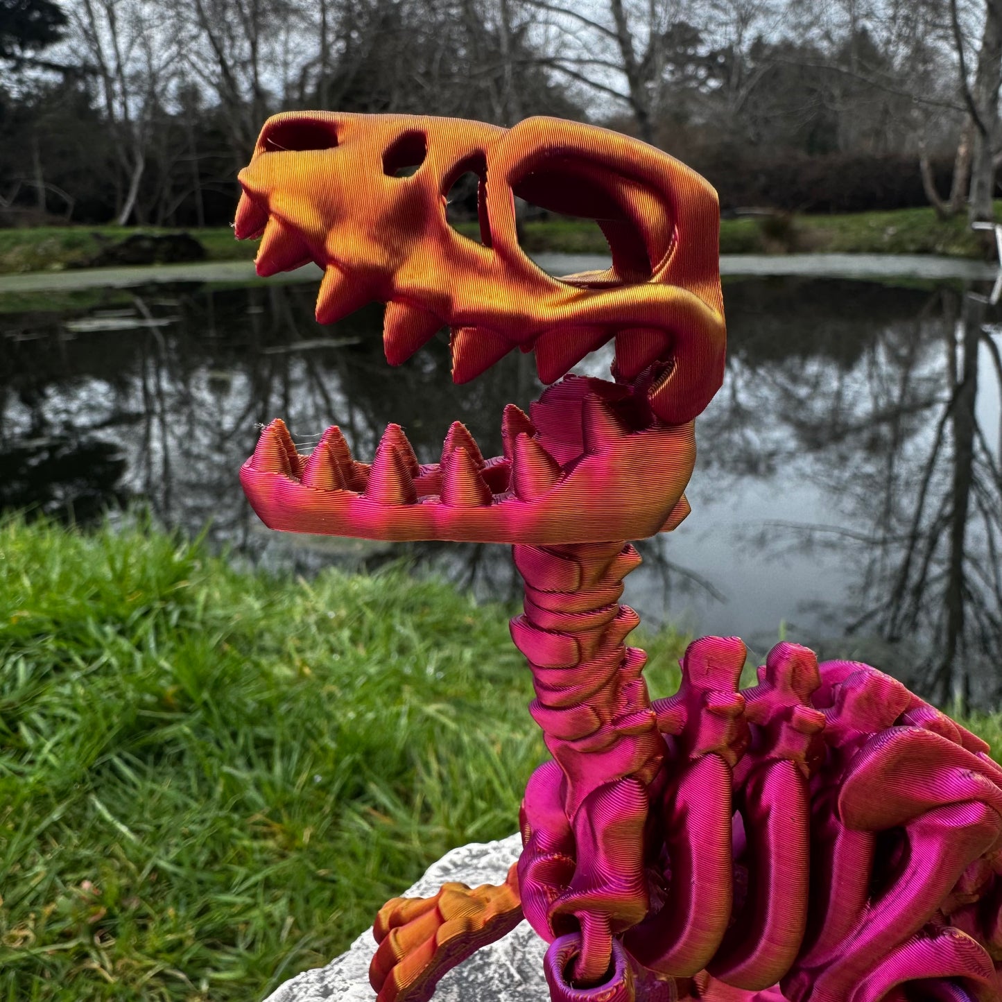 Velociraptor