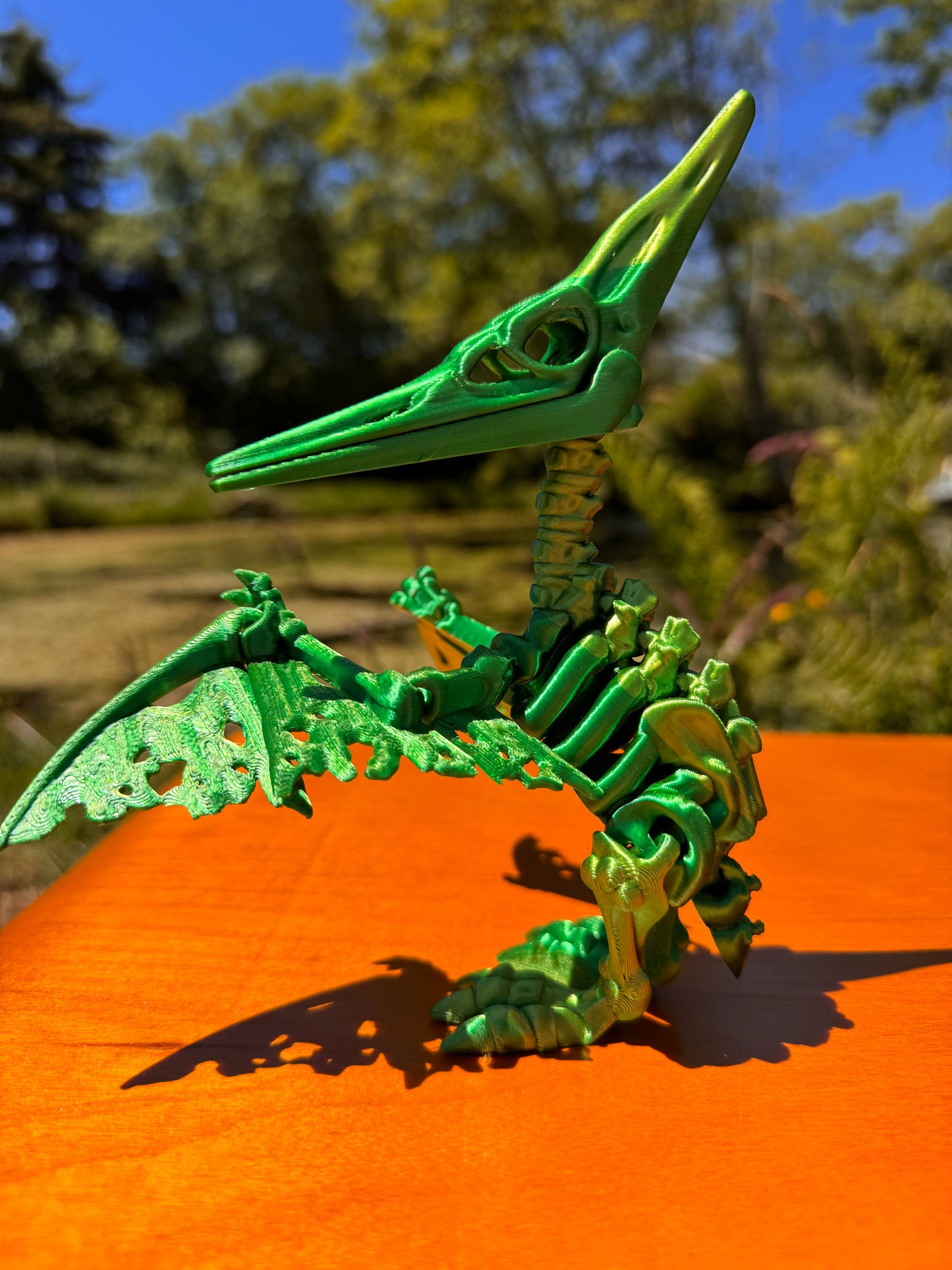 Pteradon