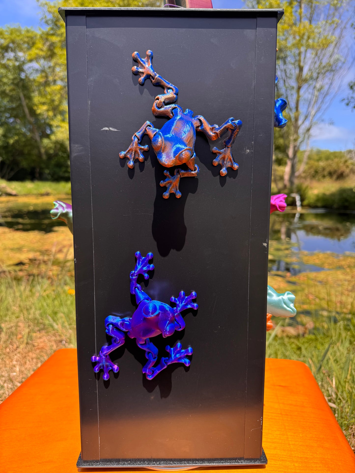 Frog Magnet