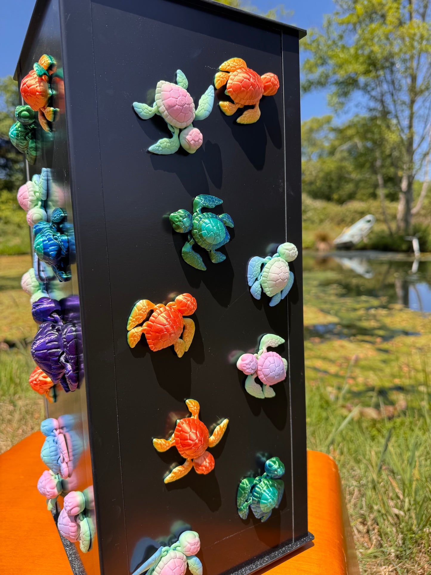 Turtle Magnet