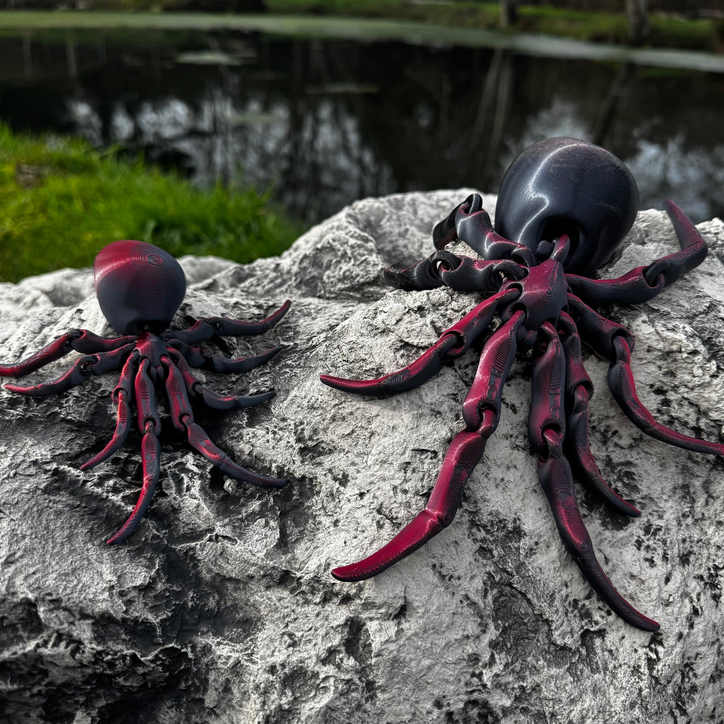 Spider