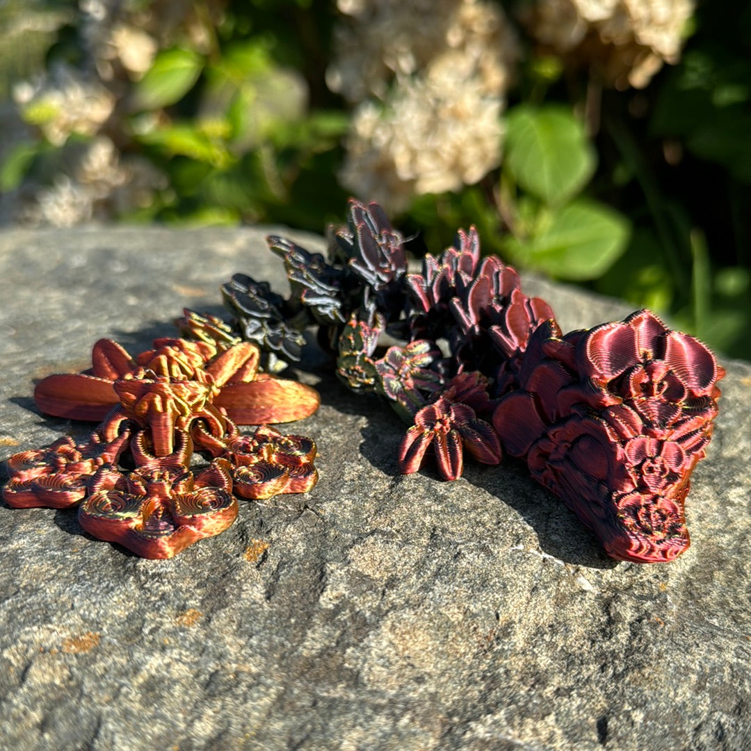Baby Orchid Dragon