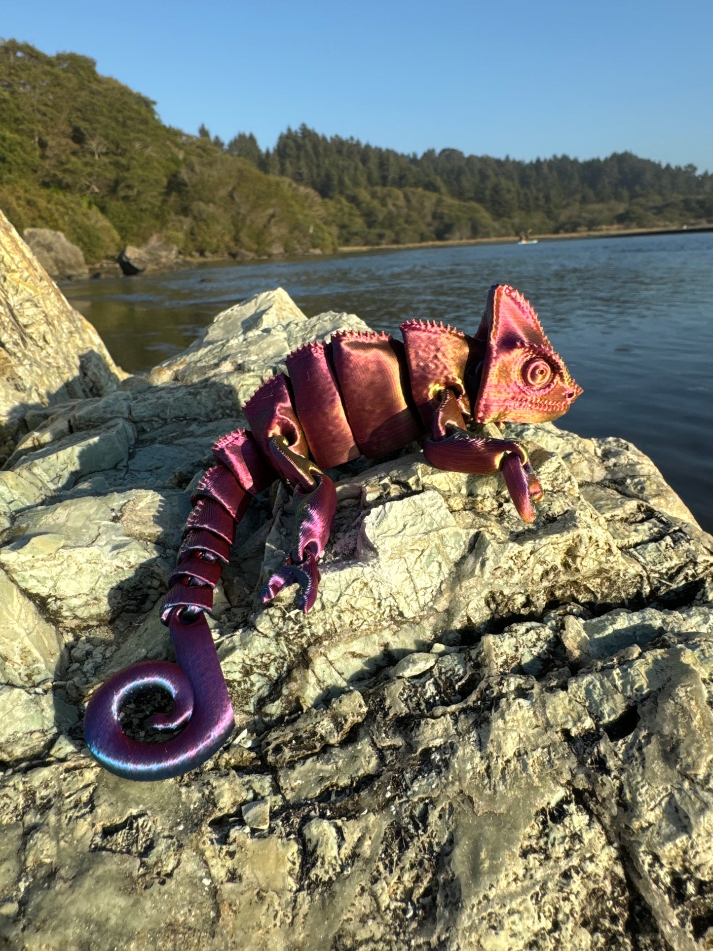 Chameleon