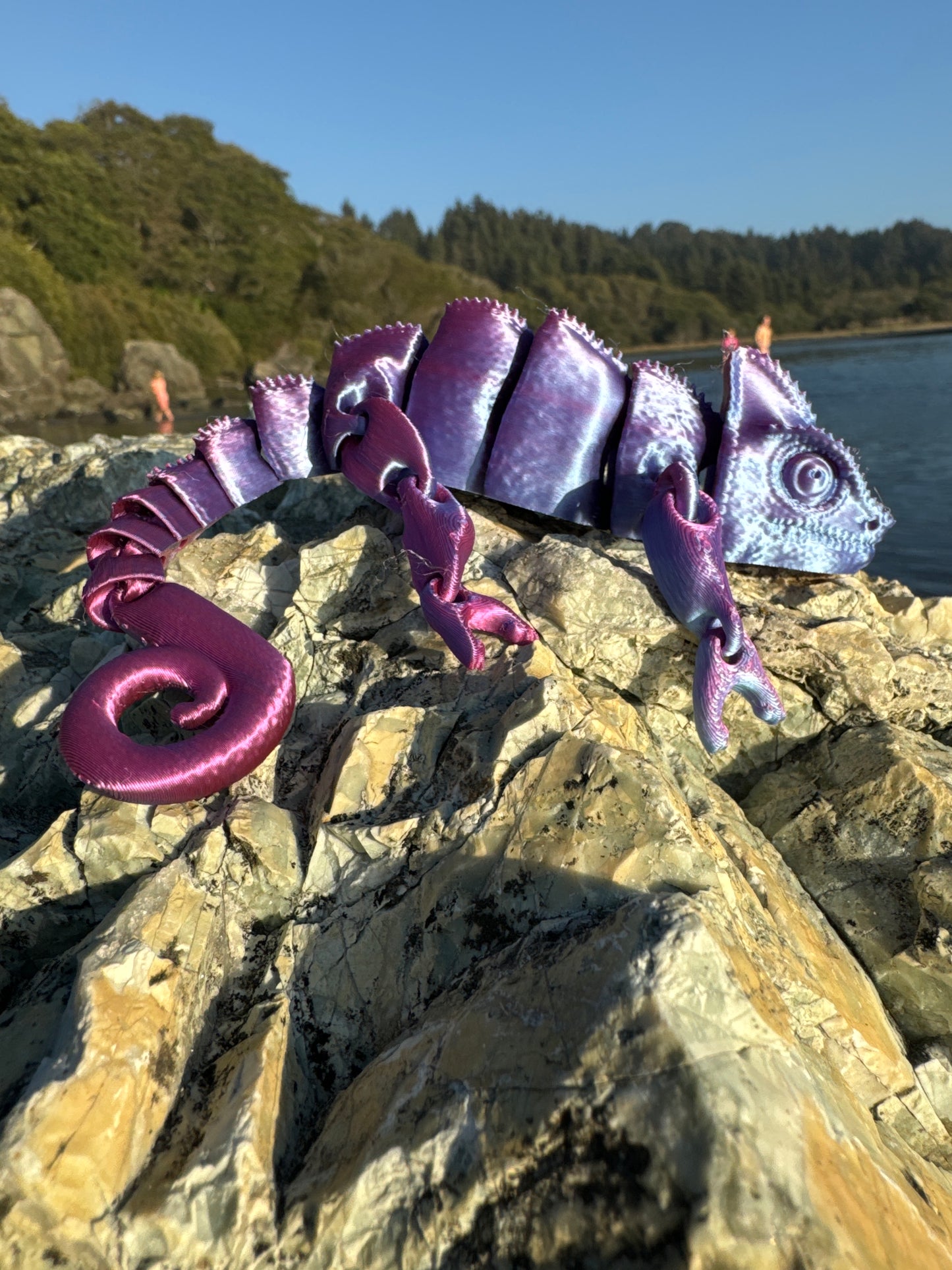 Chameleon