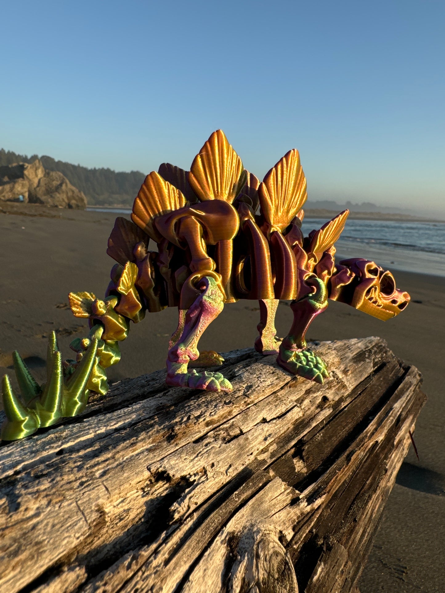 Stegasaurus