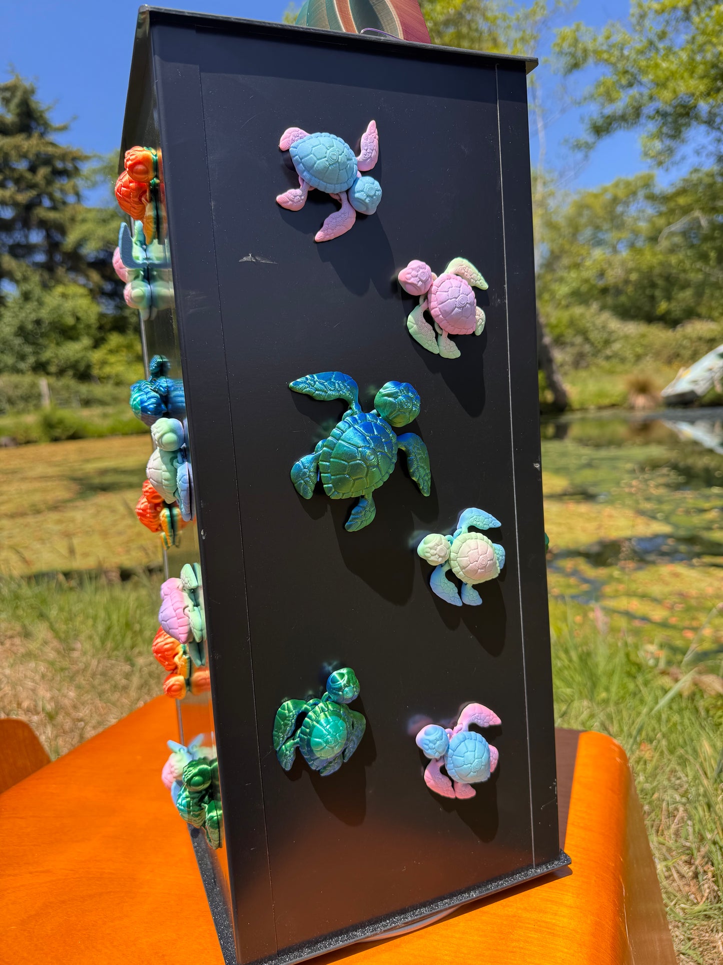 Turtle Magnet