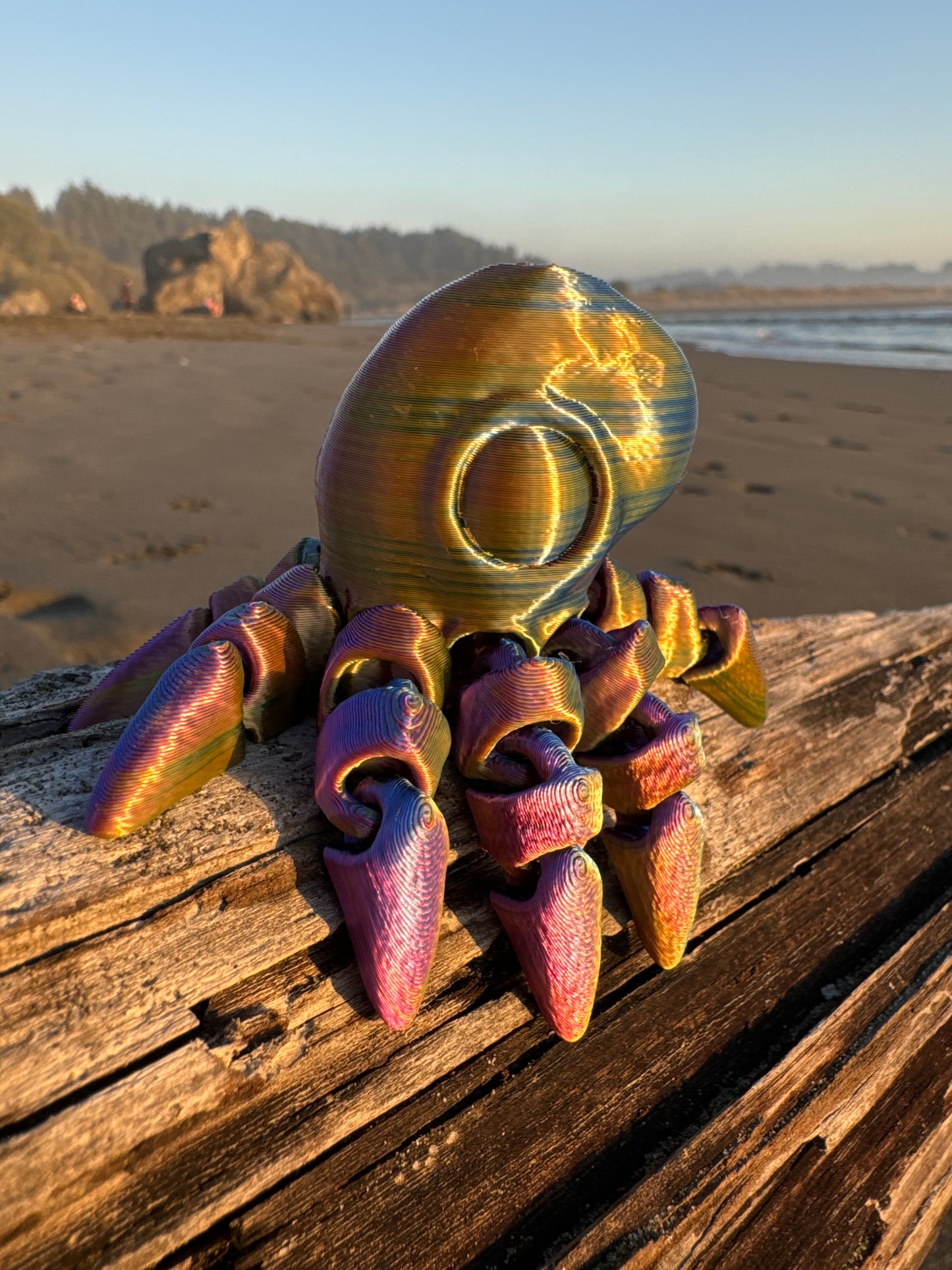 Octopus