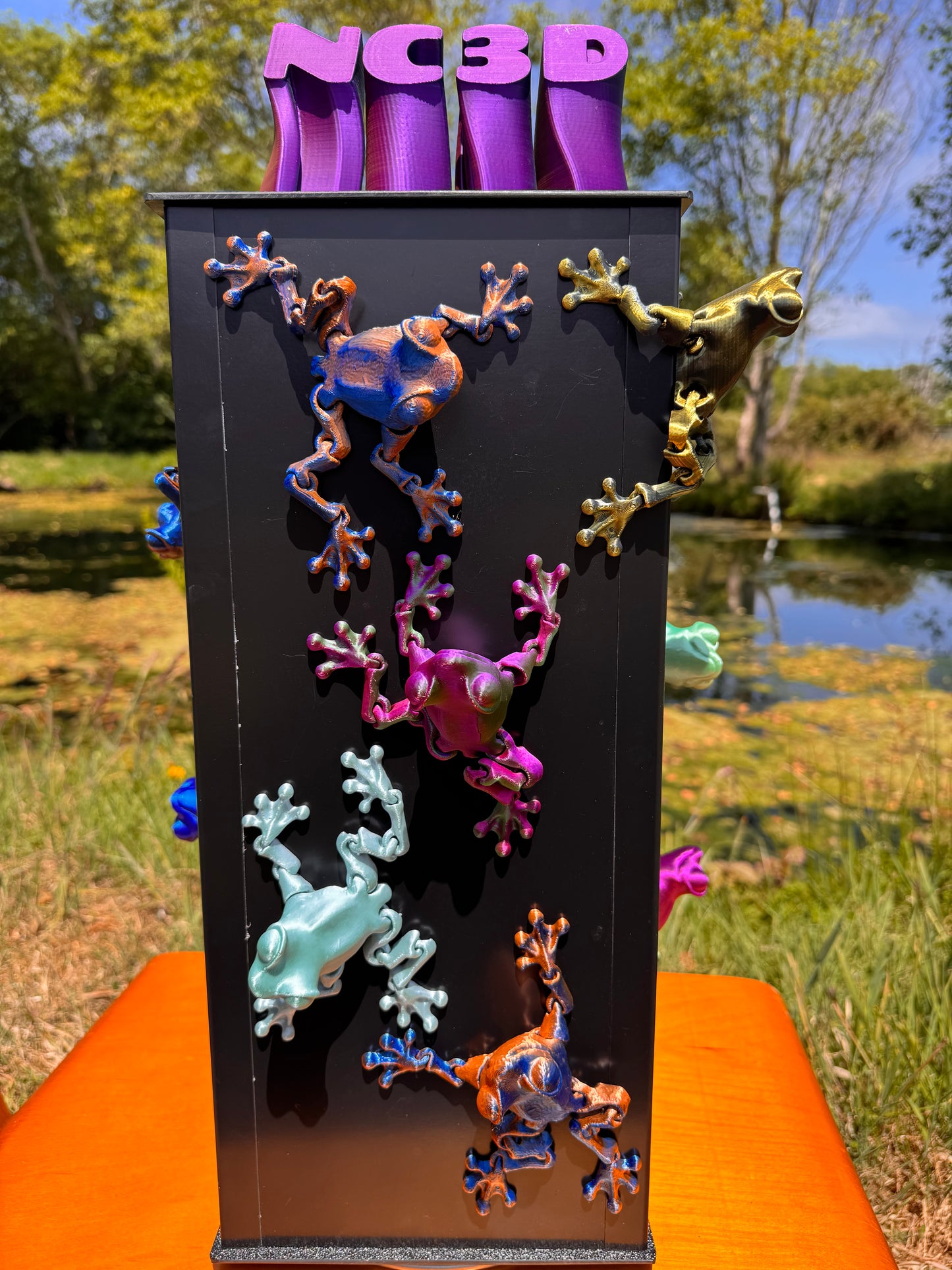 Frog Magnet