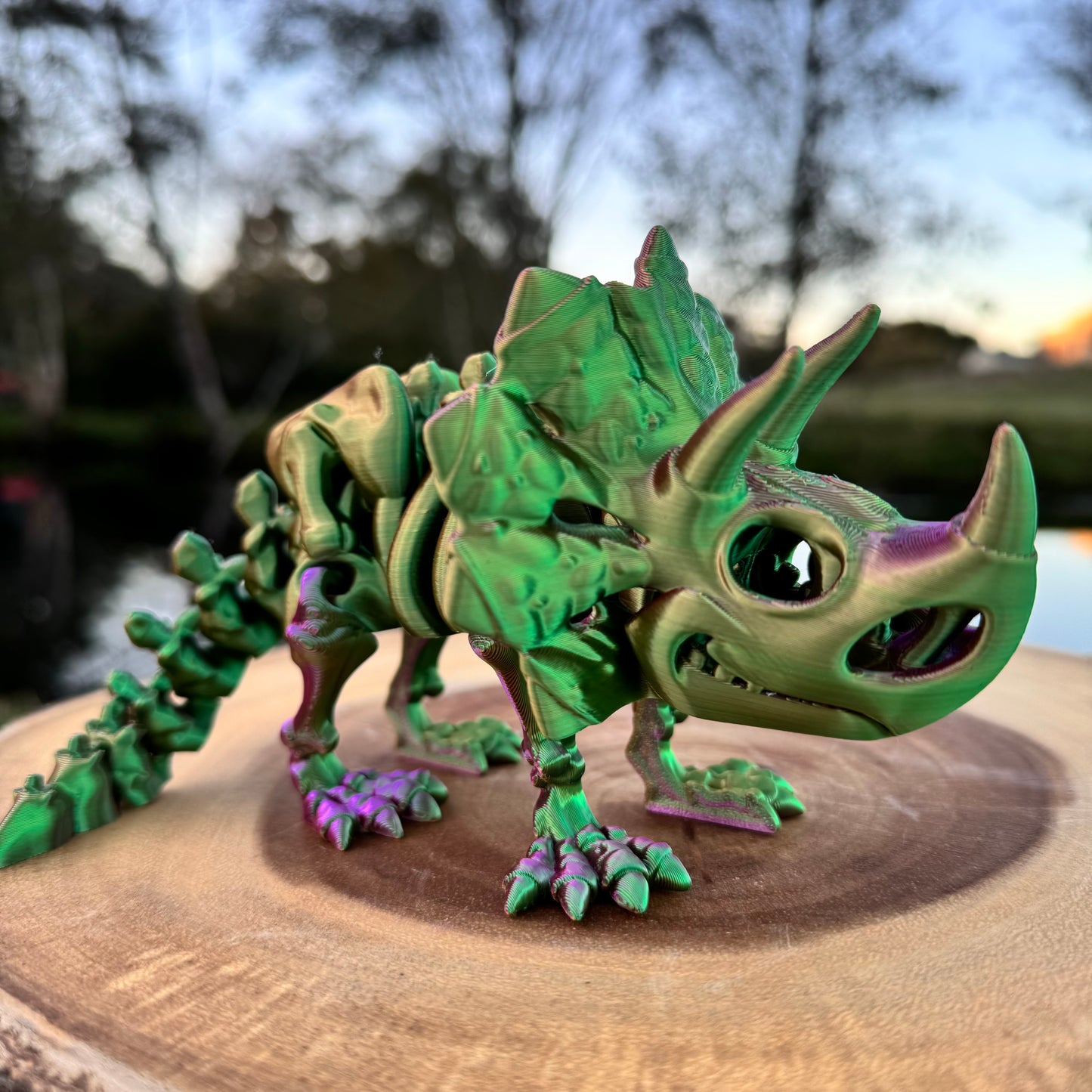 Triceratops