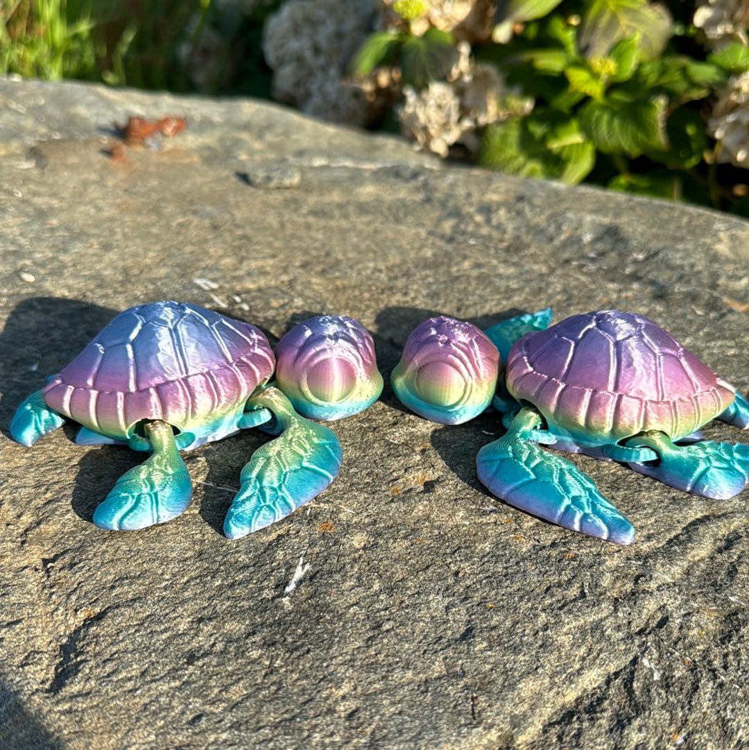 Sea Turtle