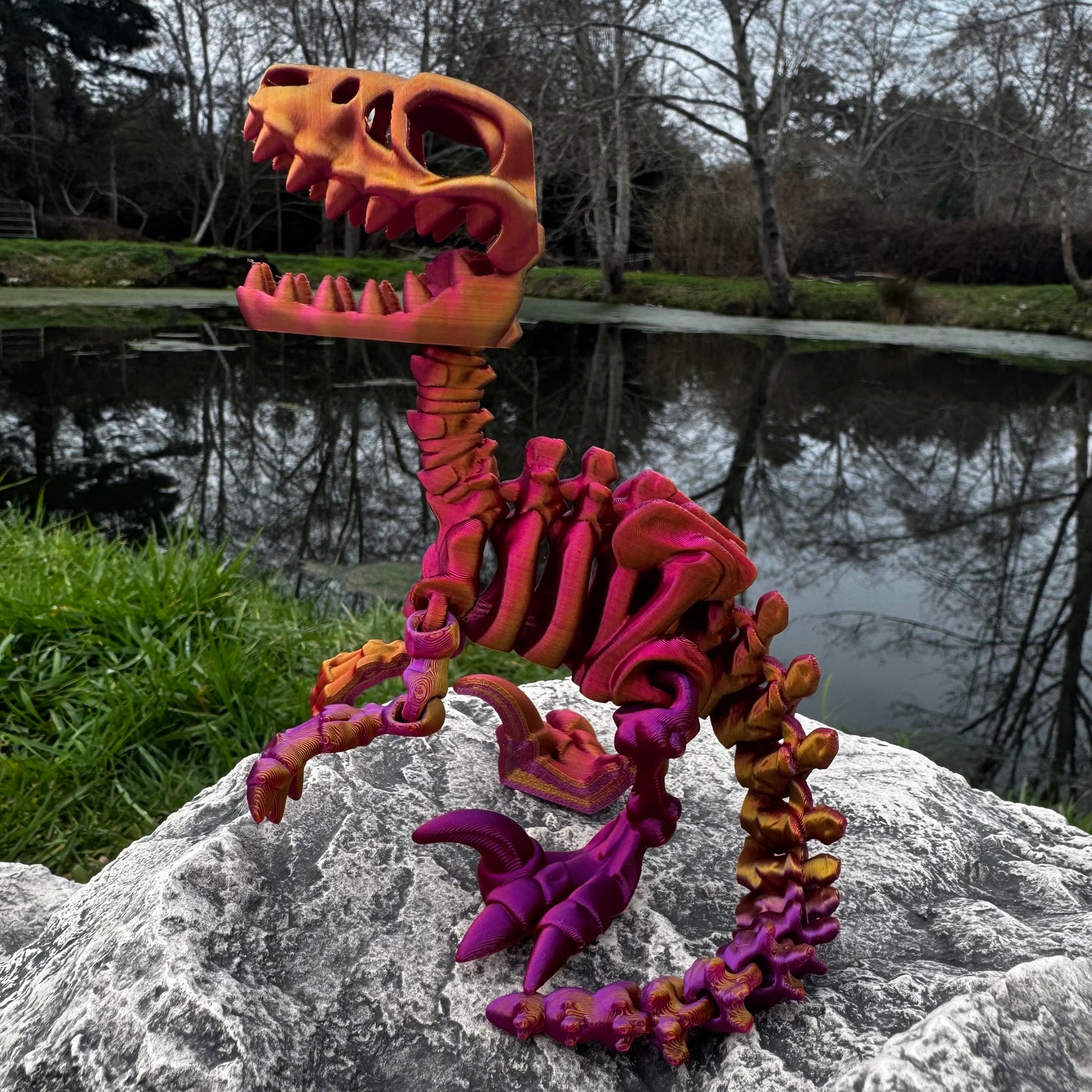 Velociraptor