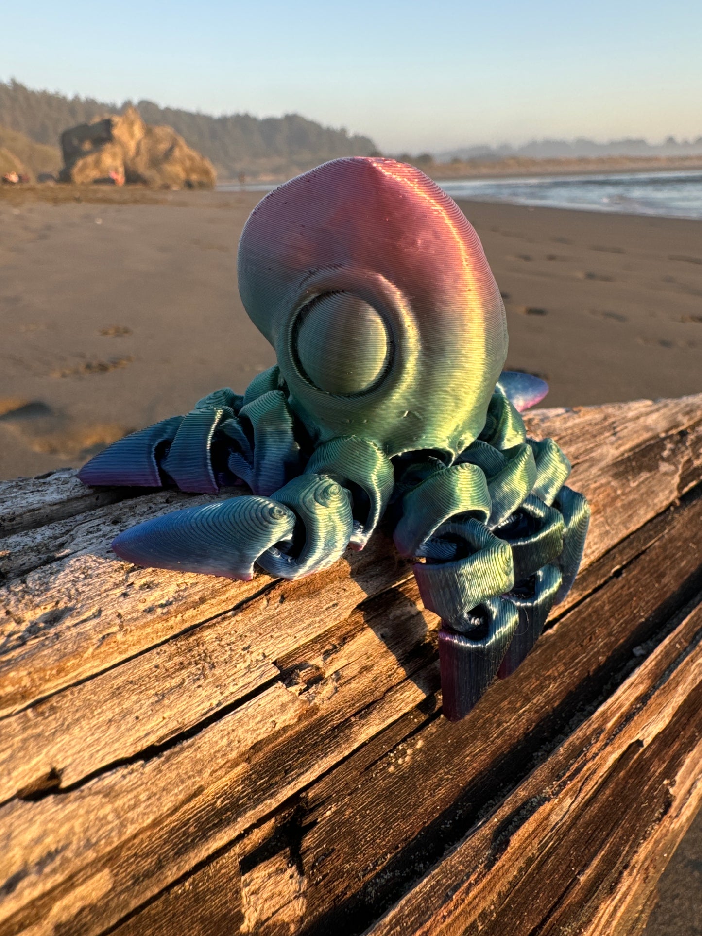 Octopus