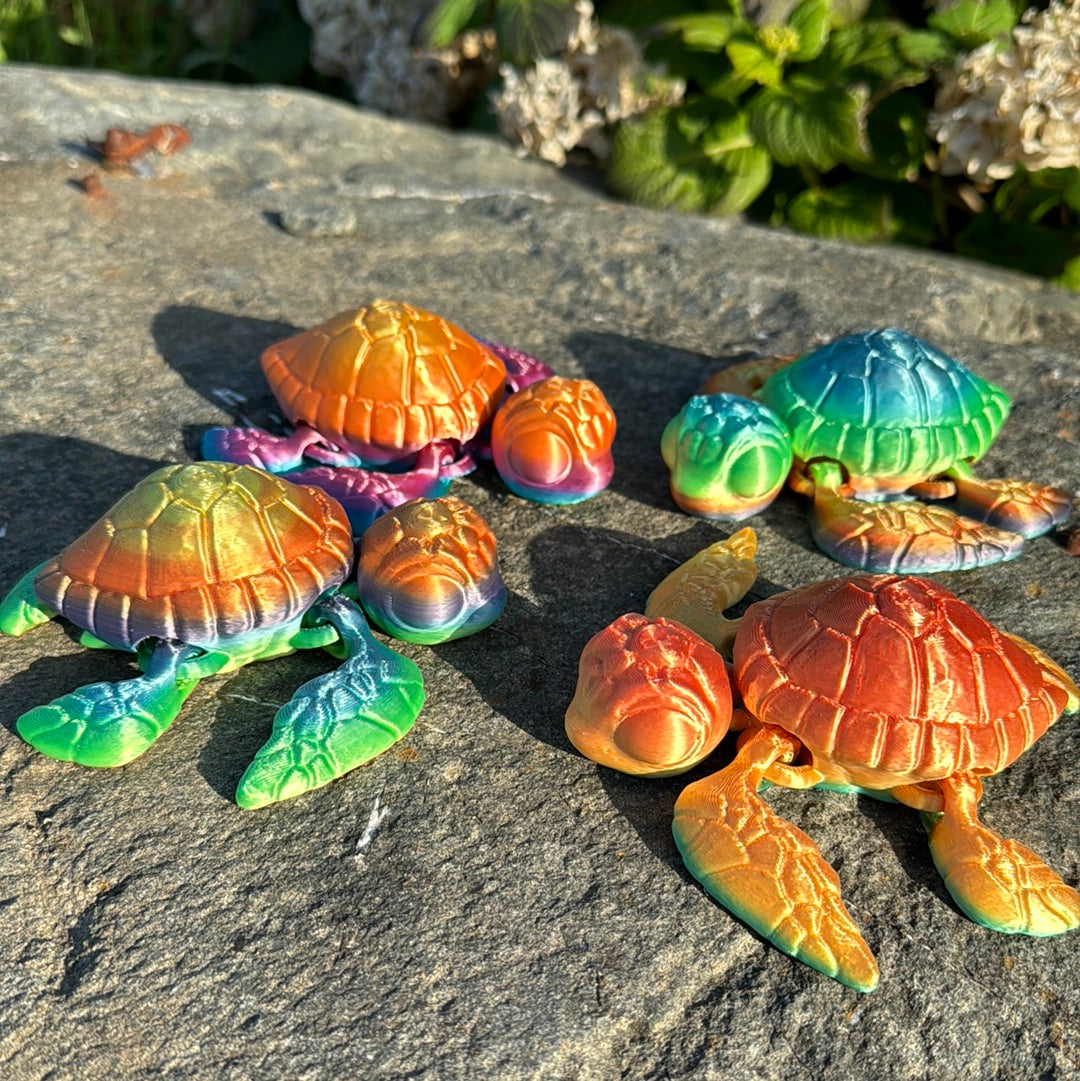 Sea Turtle