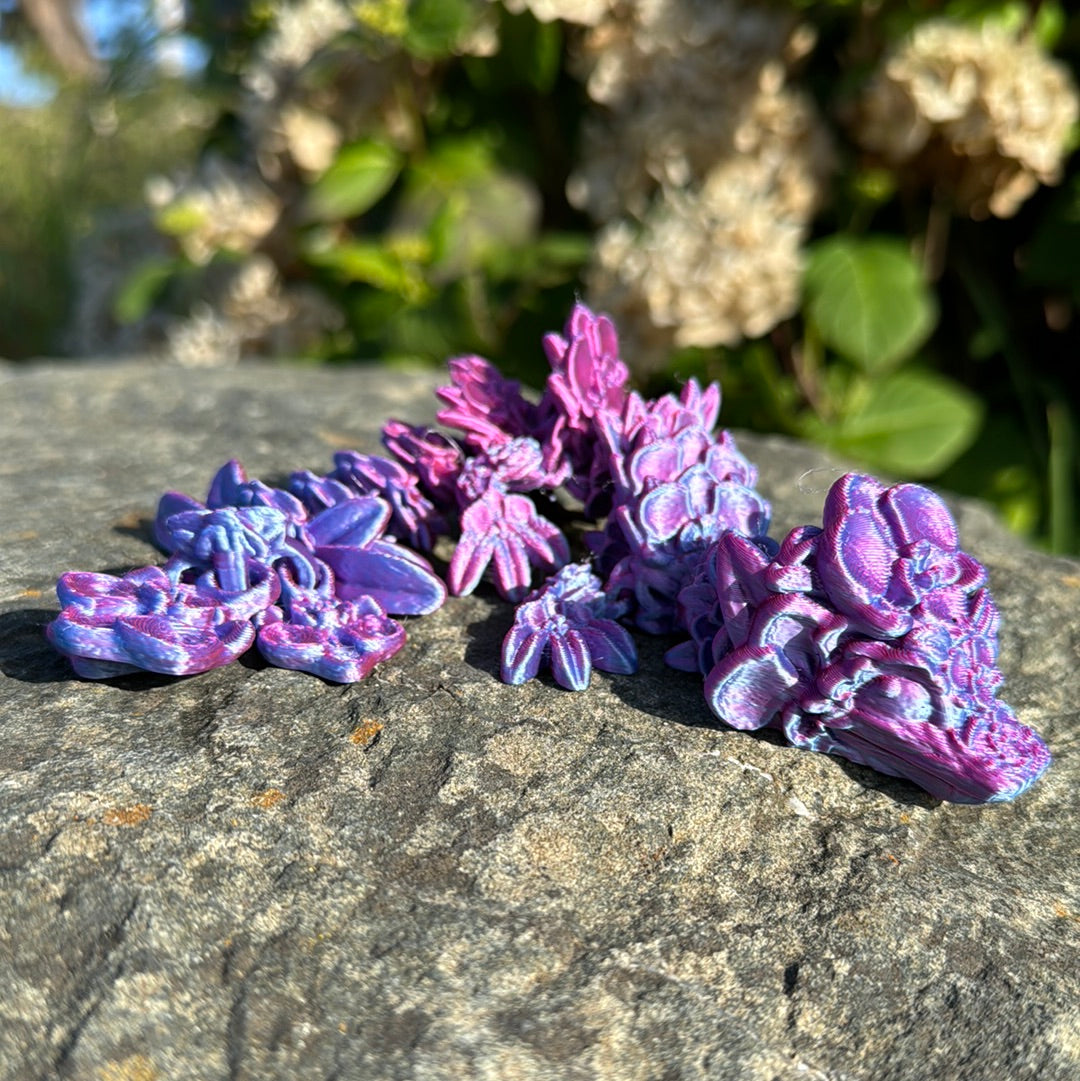 Baby Orchid Dragon