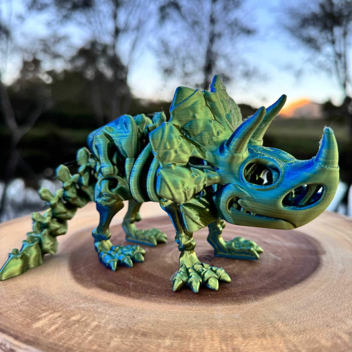 Triceratops