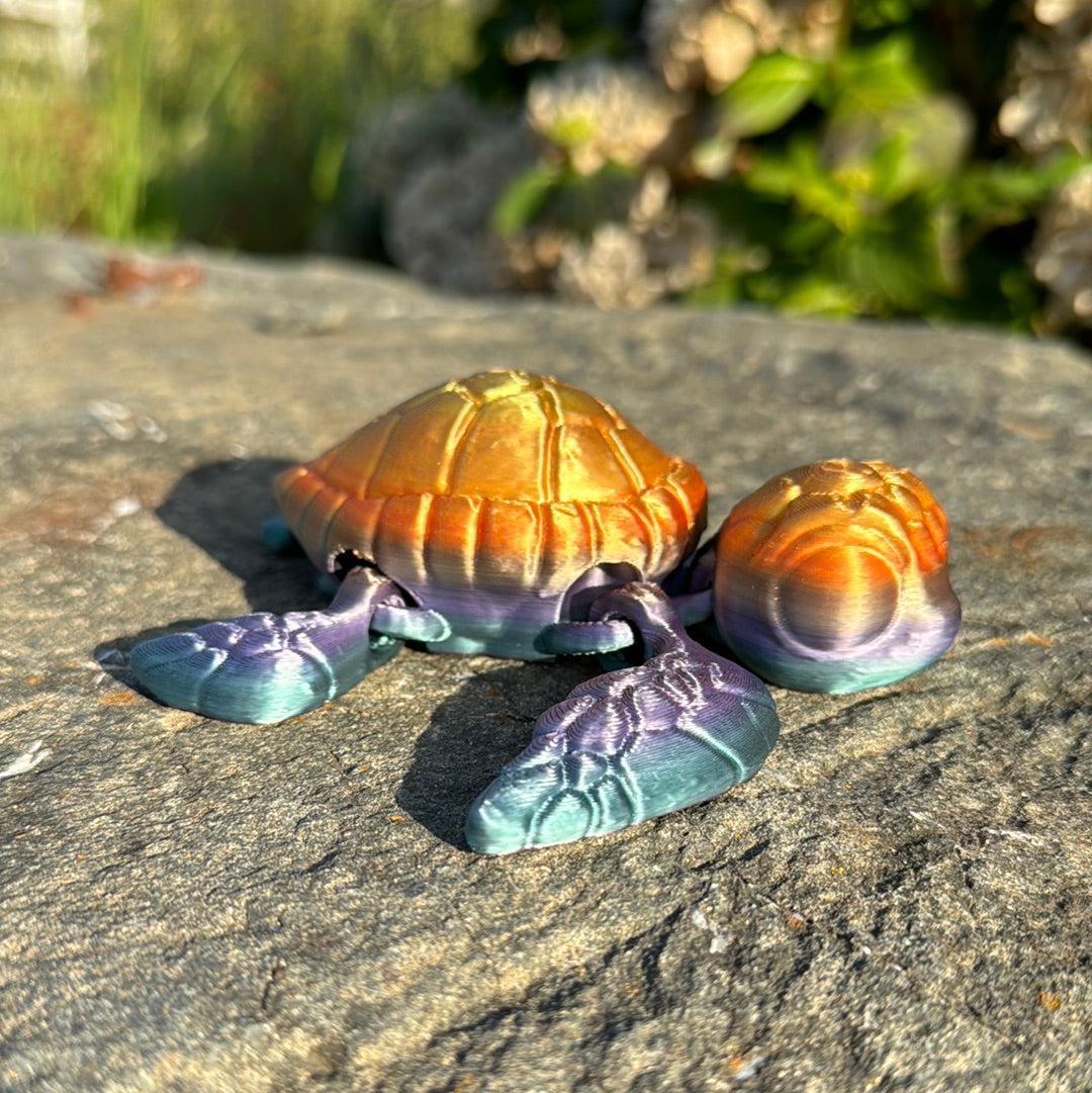 Sea Turtle