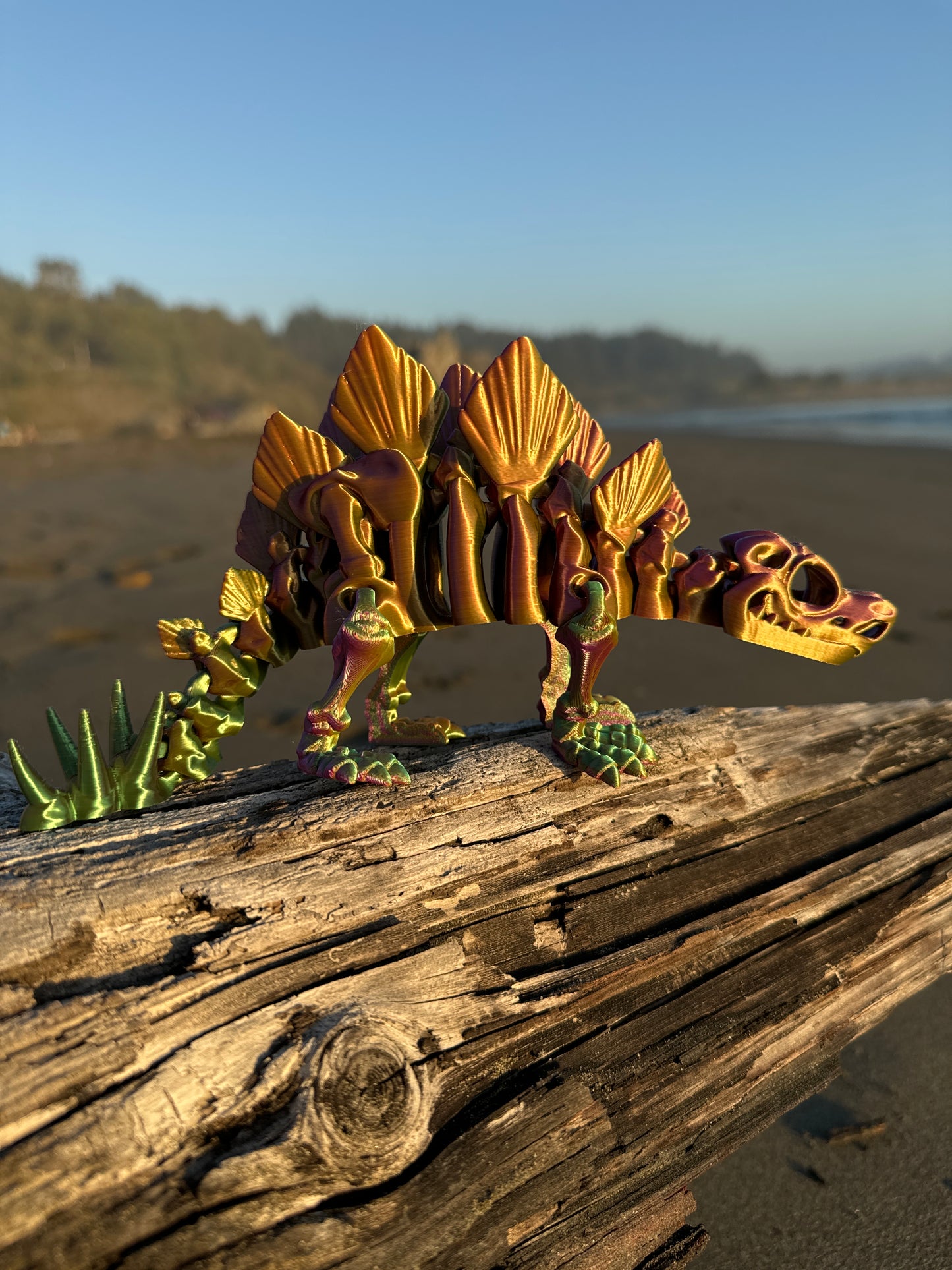 Stegasaurus