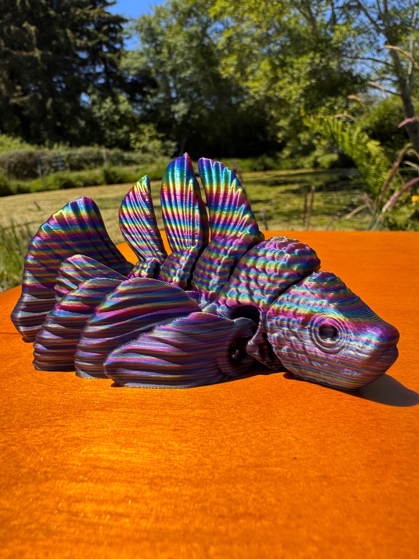 Beta Fish