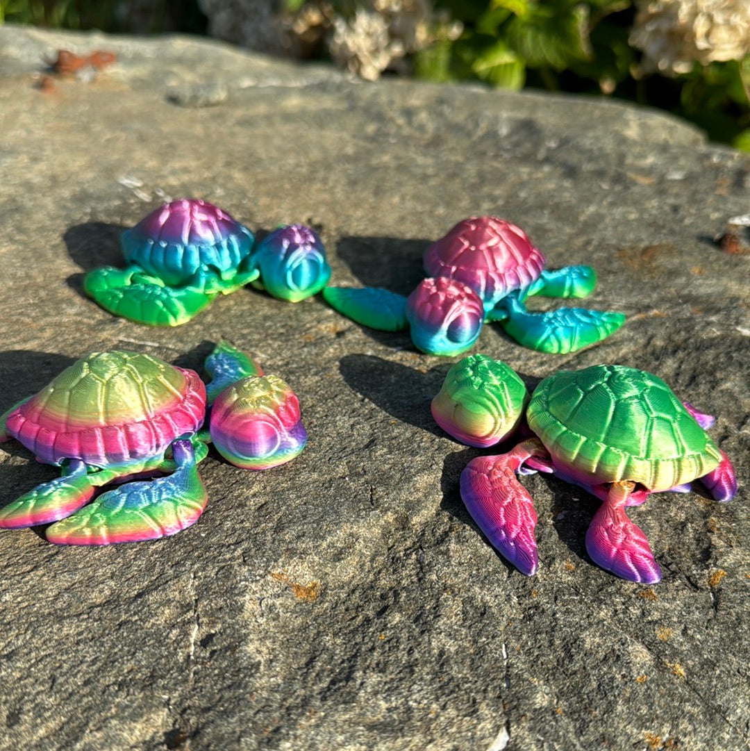 Sea Turtle