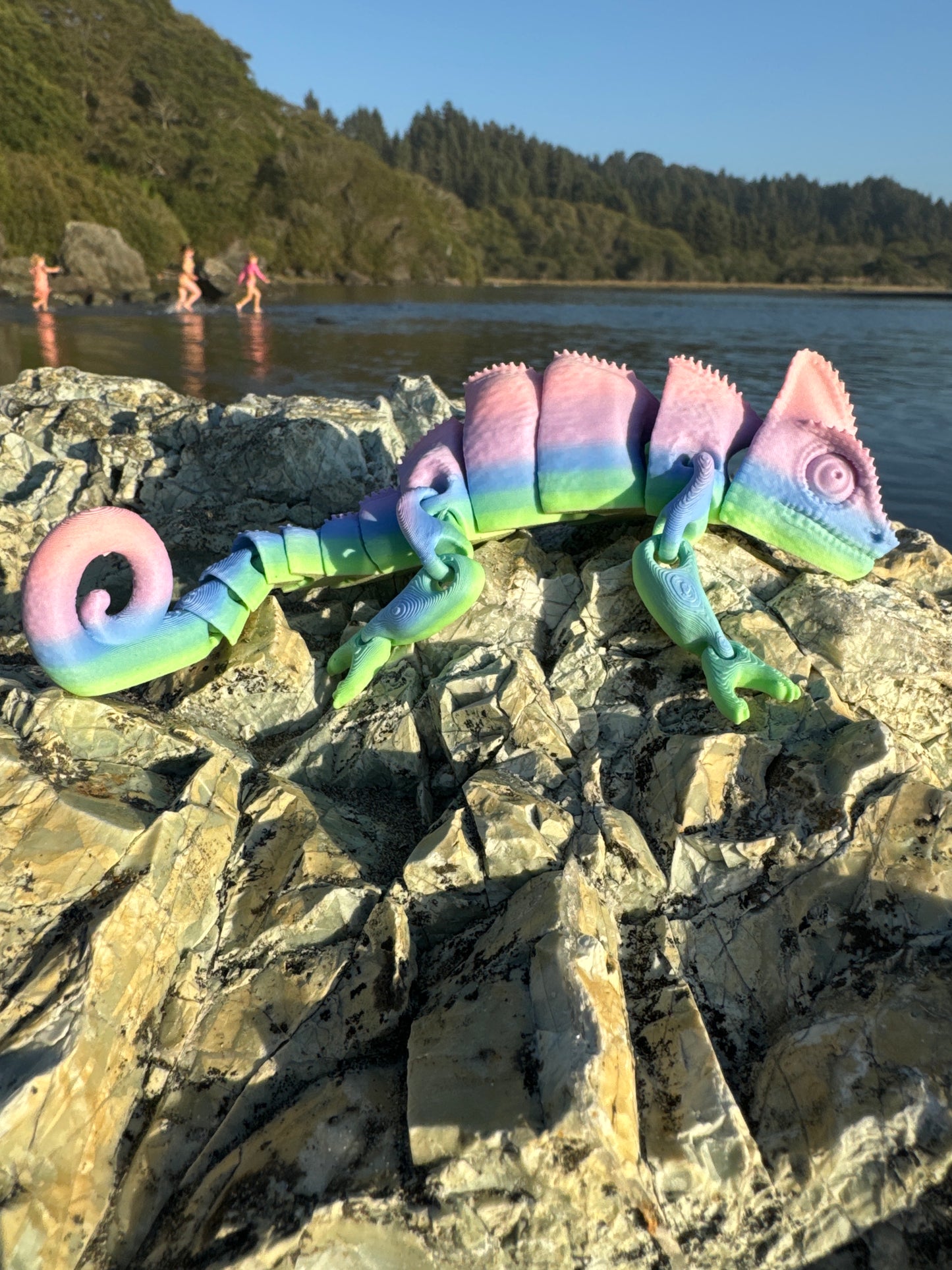 Chameleon