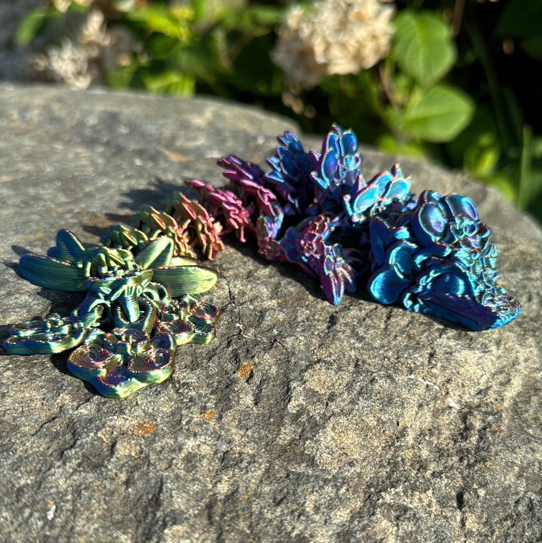 Baby Orchid Dragon