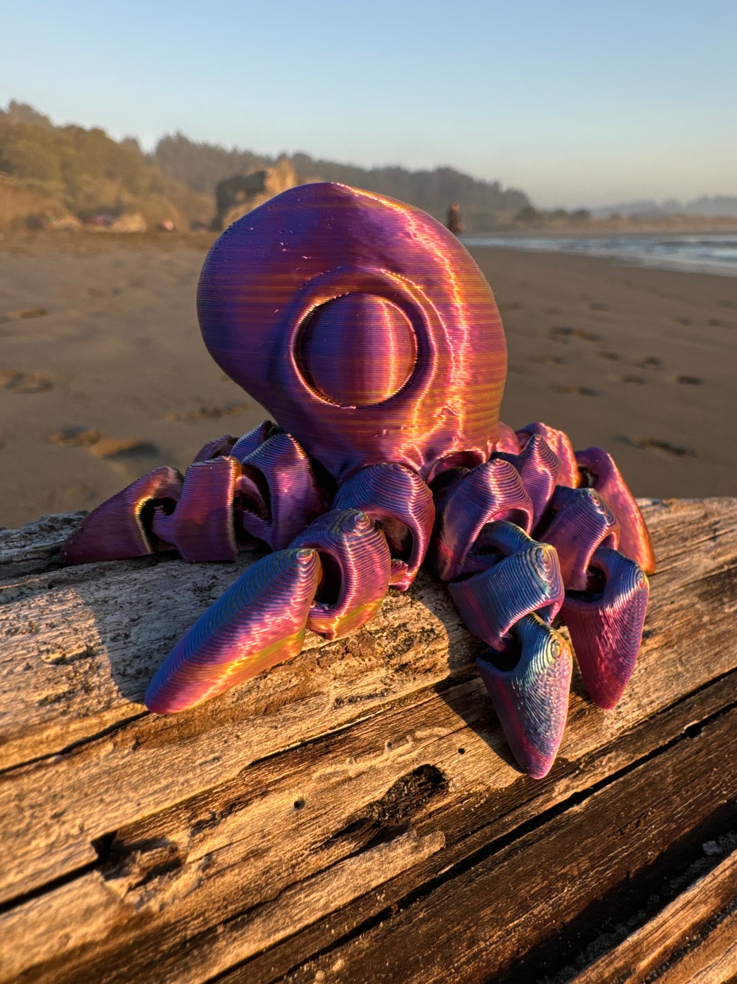 Octopus