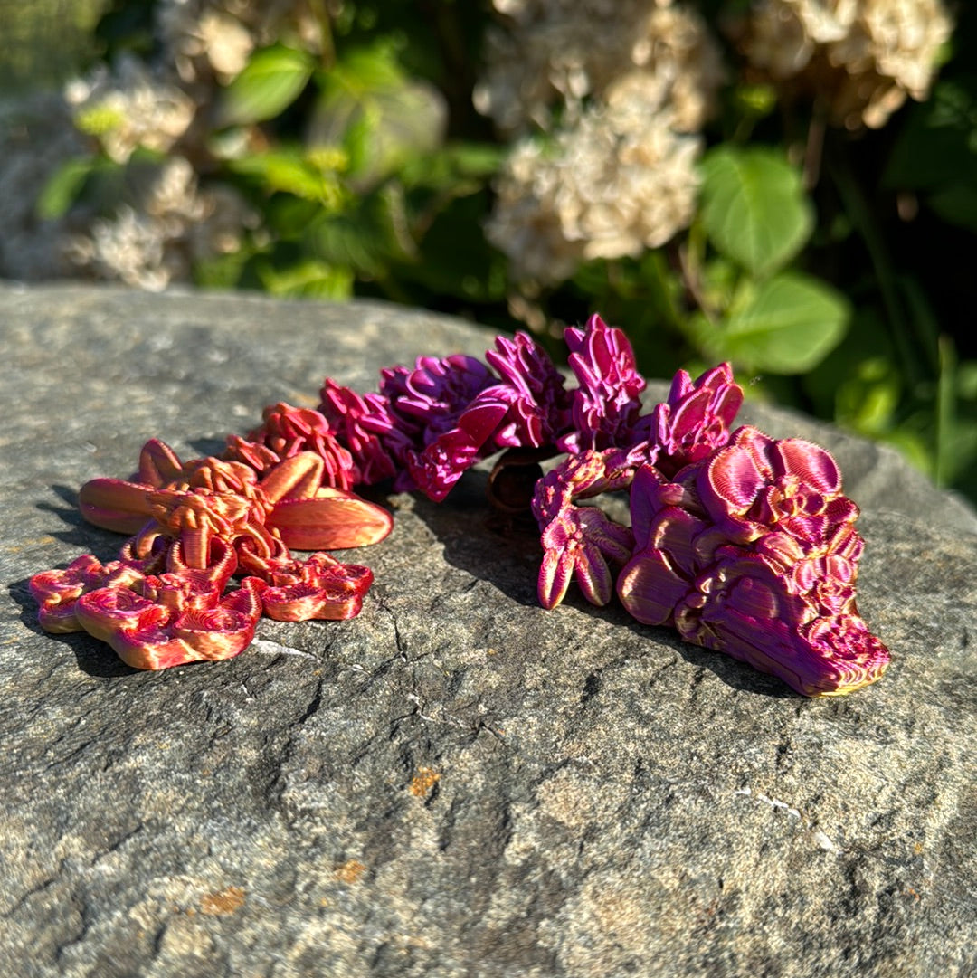 Baby Orchid Dragon