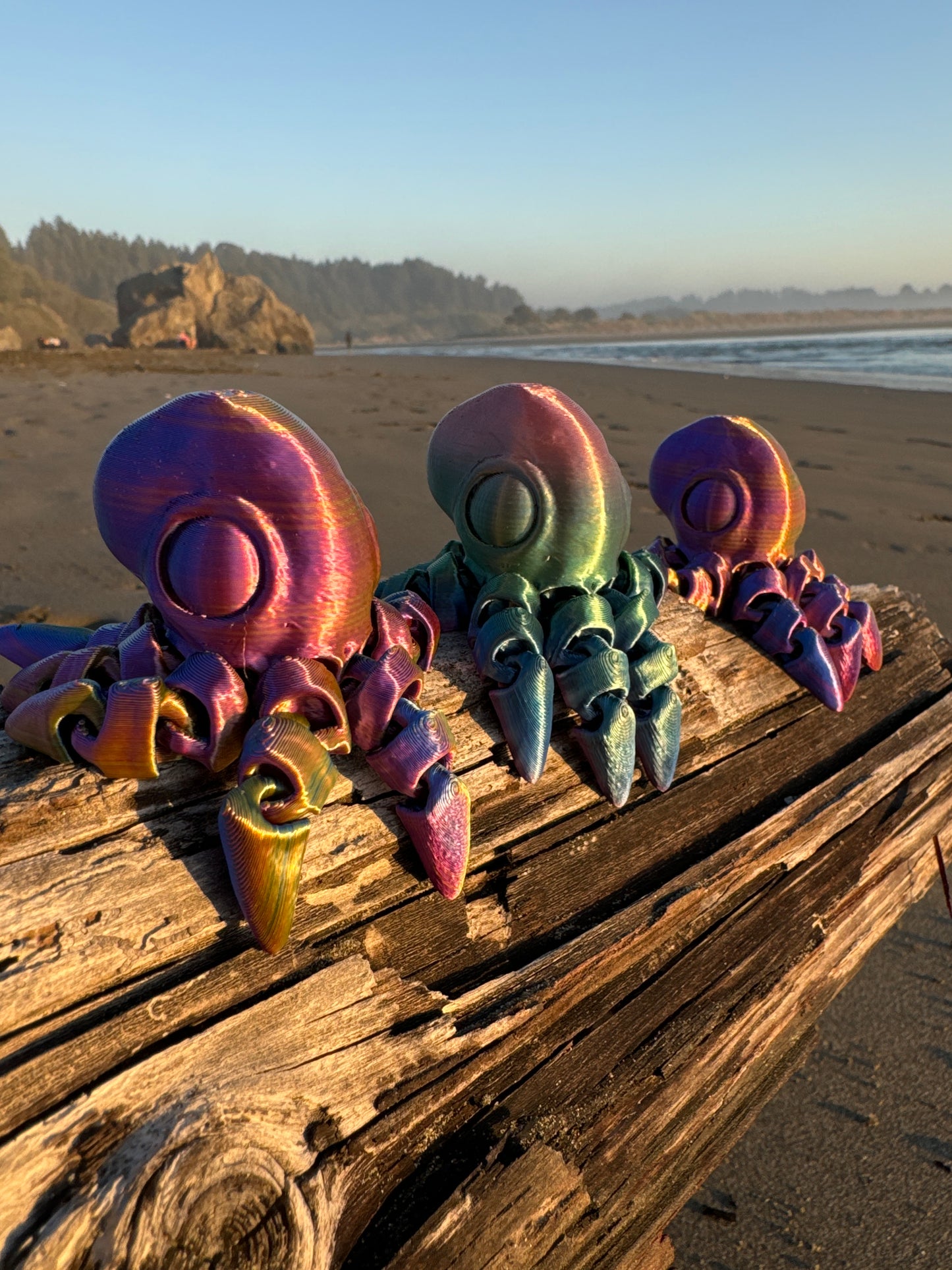 Octopus