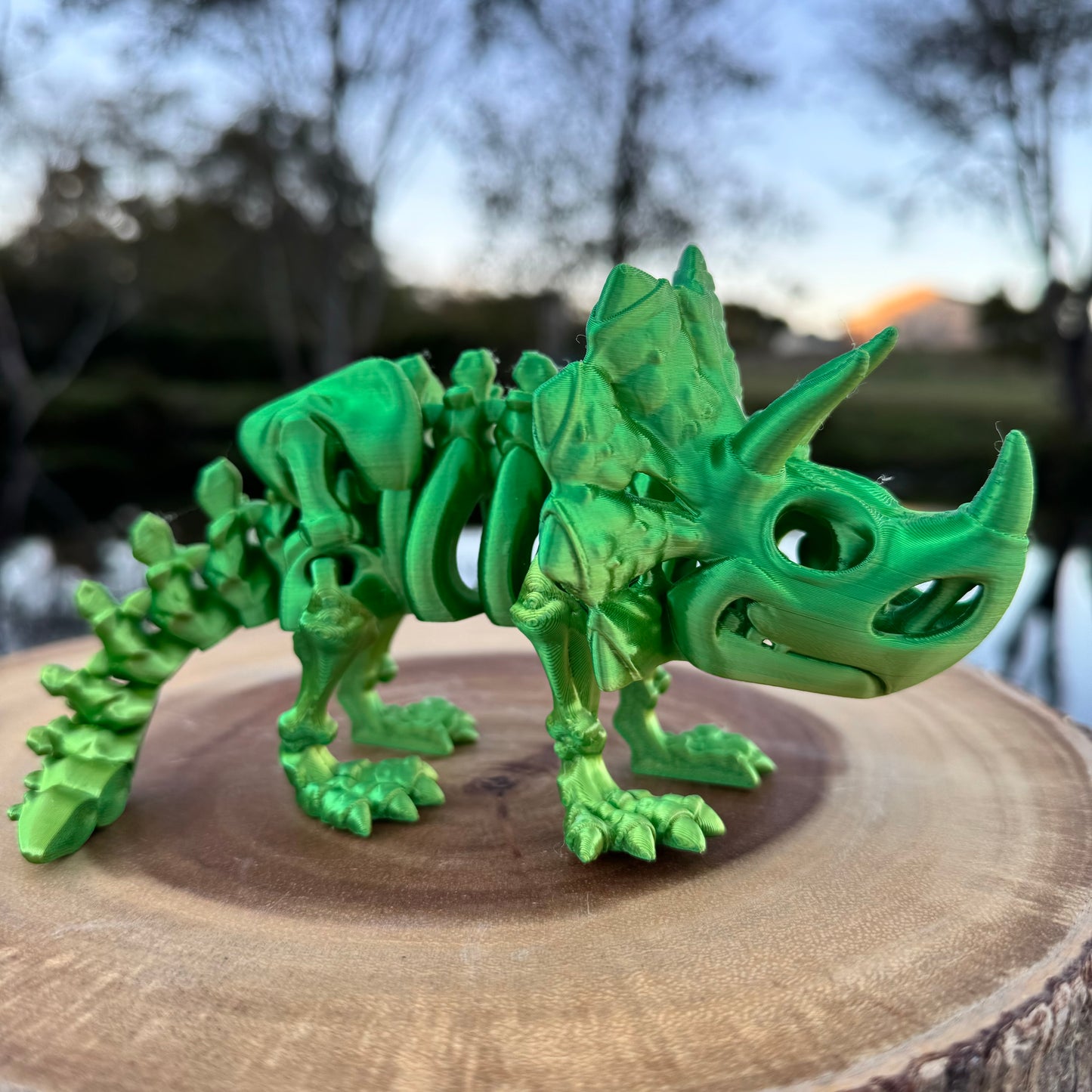 Triceratops