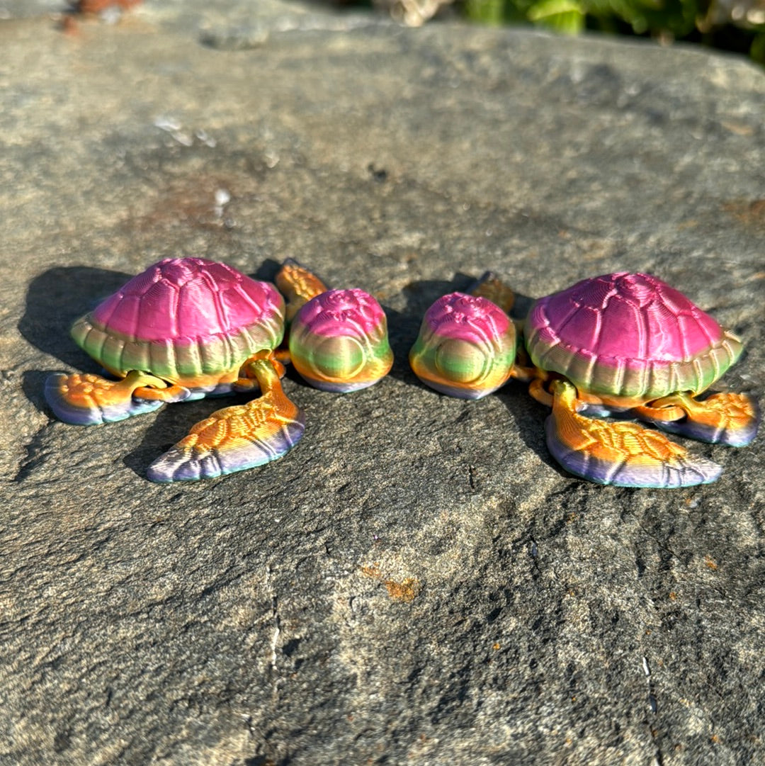 Sea Turtle