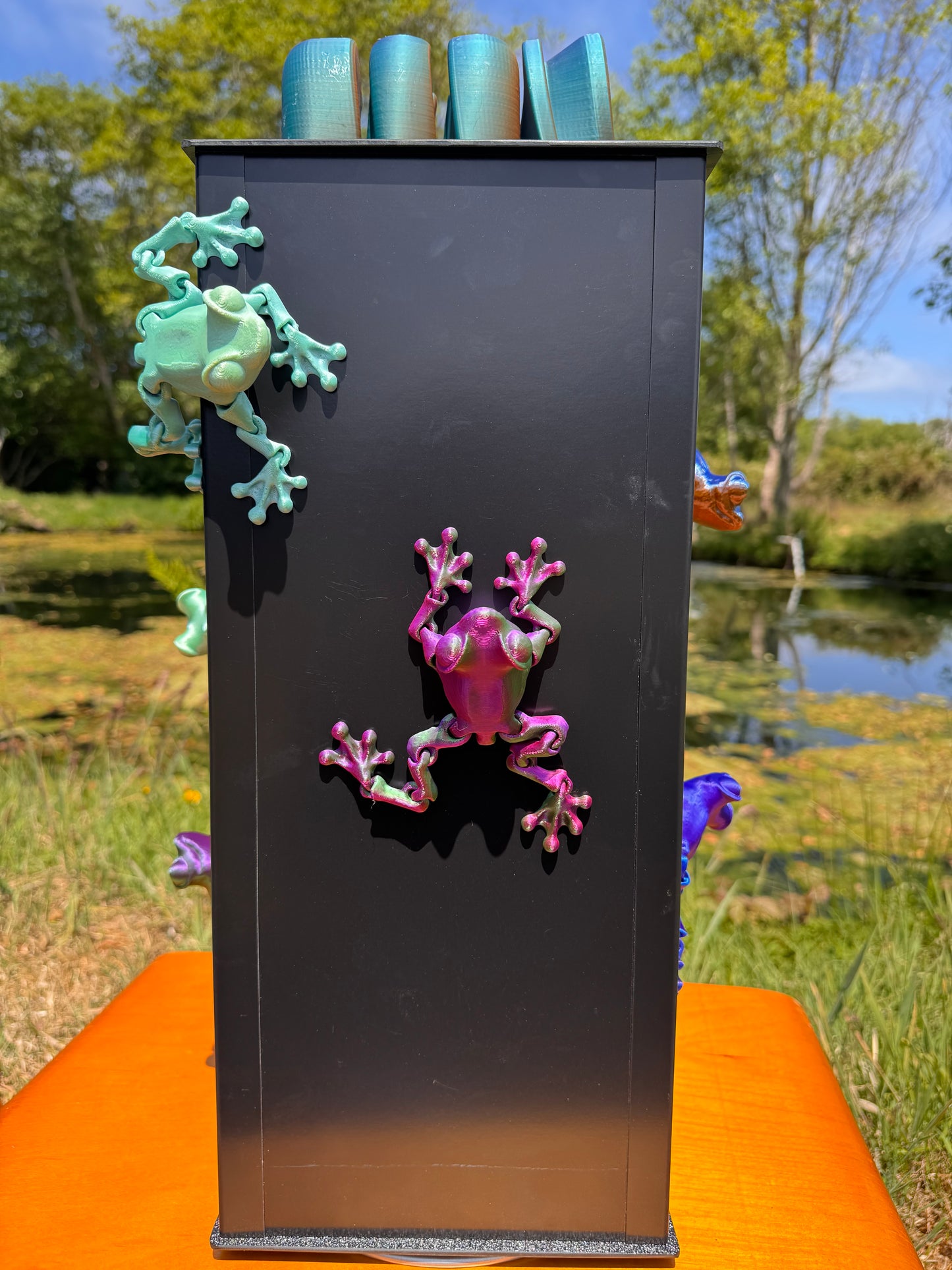 Frog Magnet