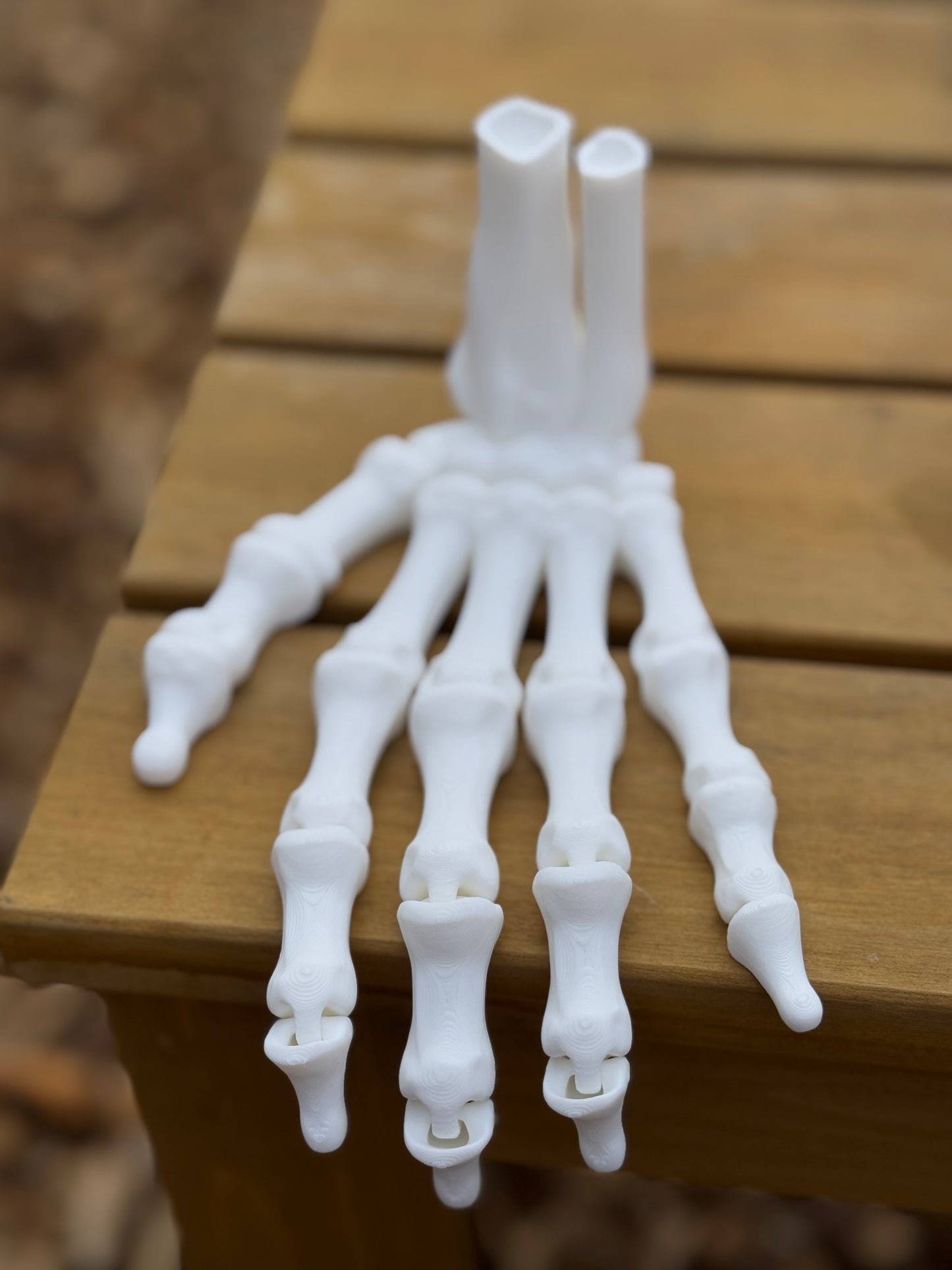 Skeleton Hand