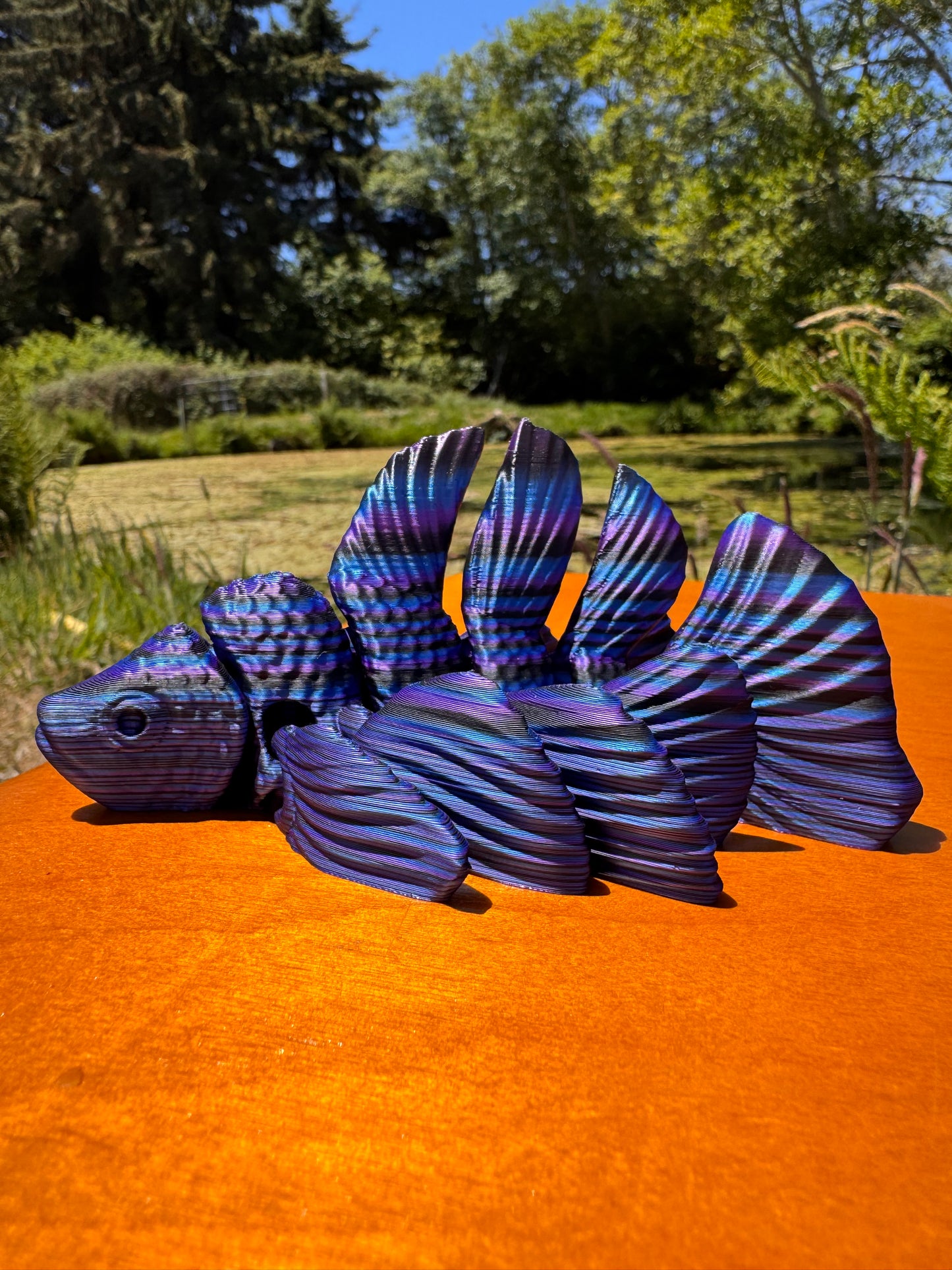 Beta Fish