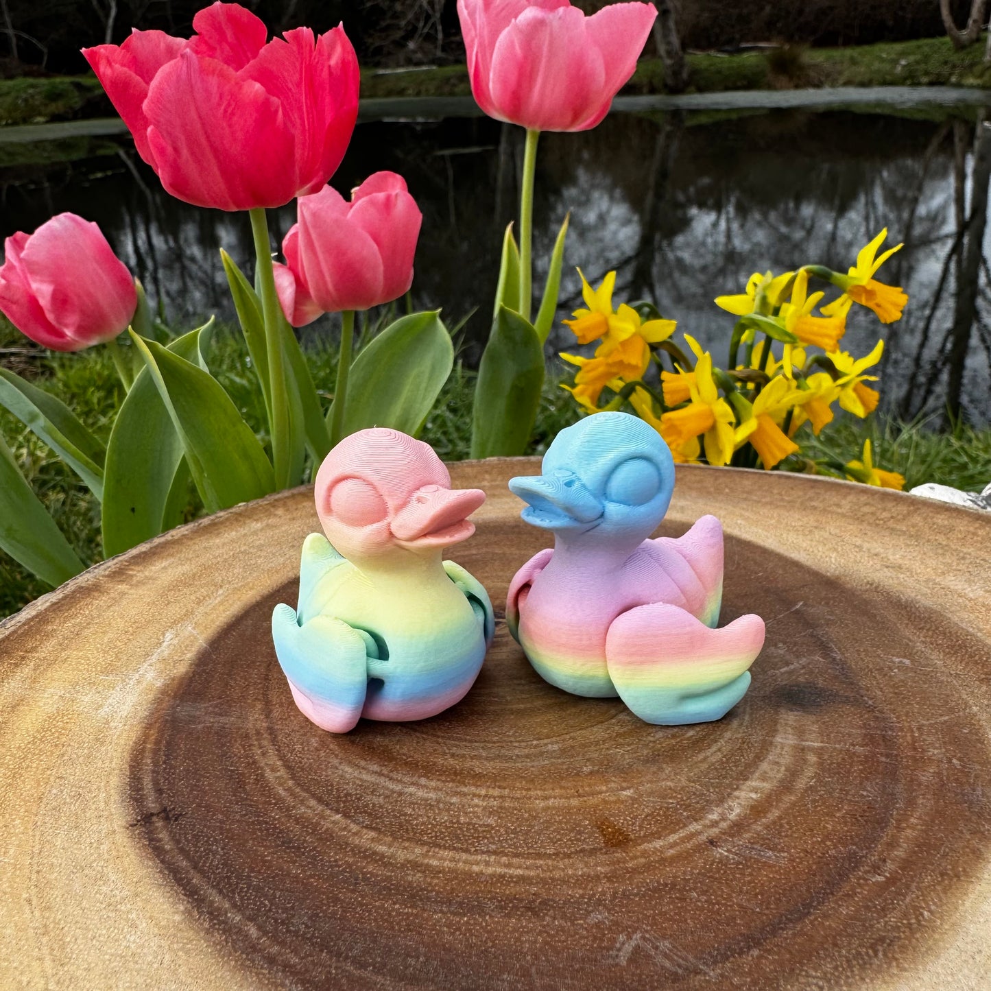 Duckling