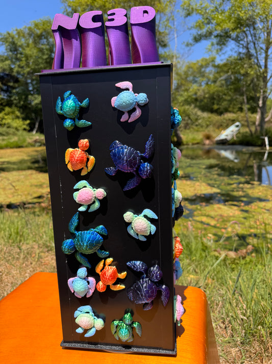 Turtle Magnet