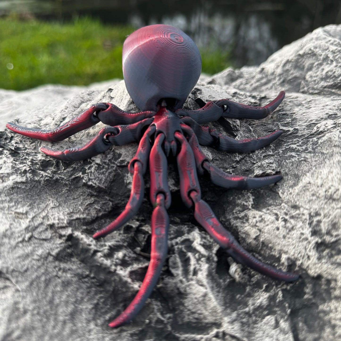Spider