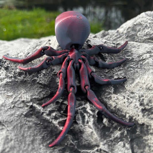 Spider