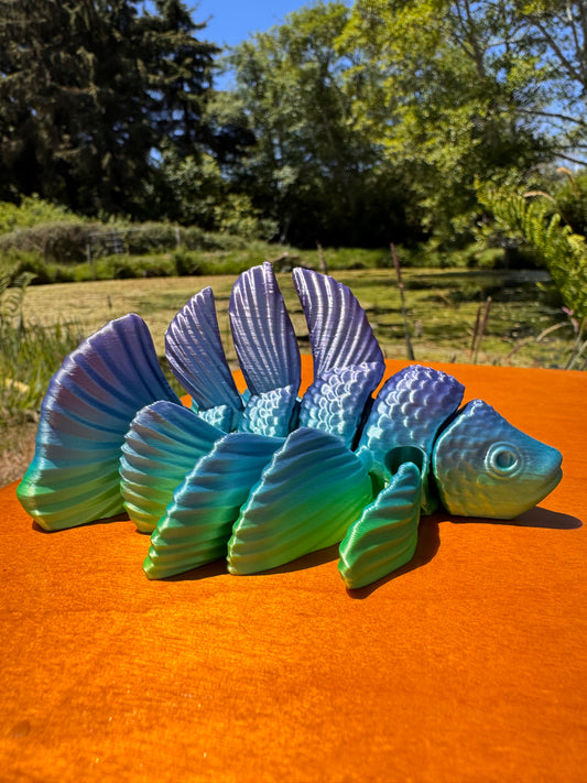Beta Fish