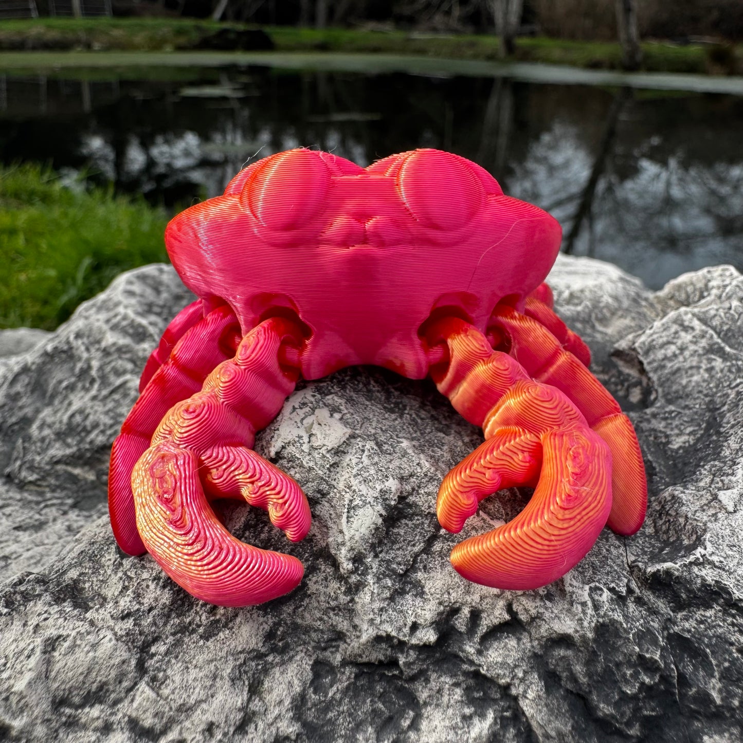 Crab