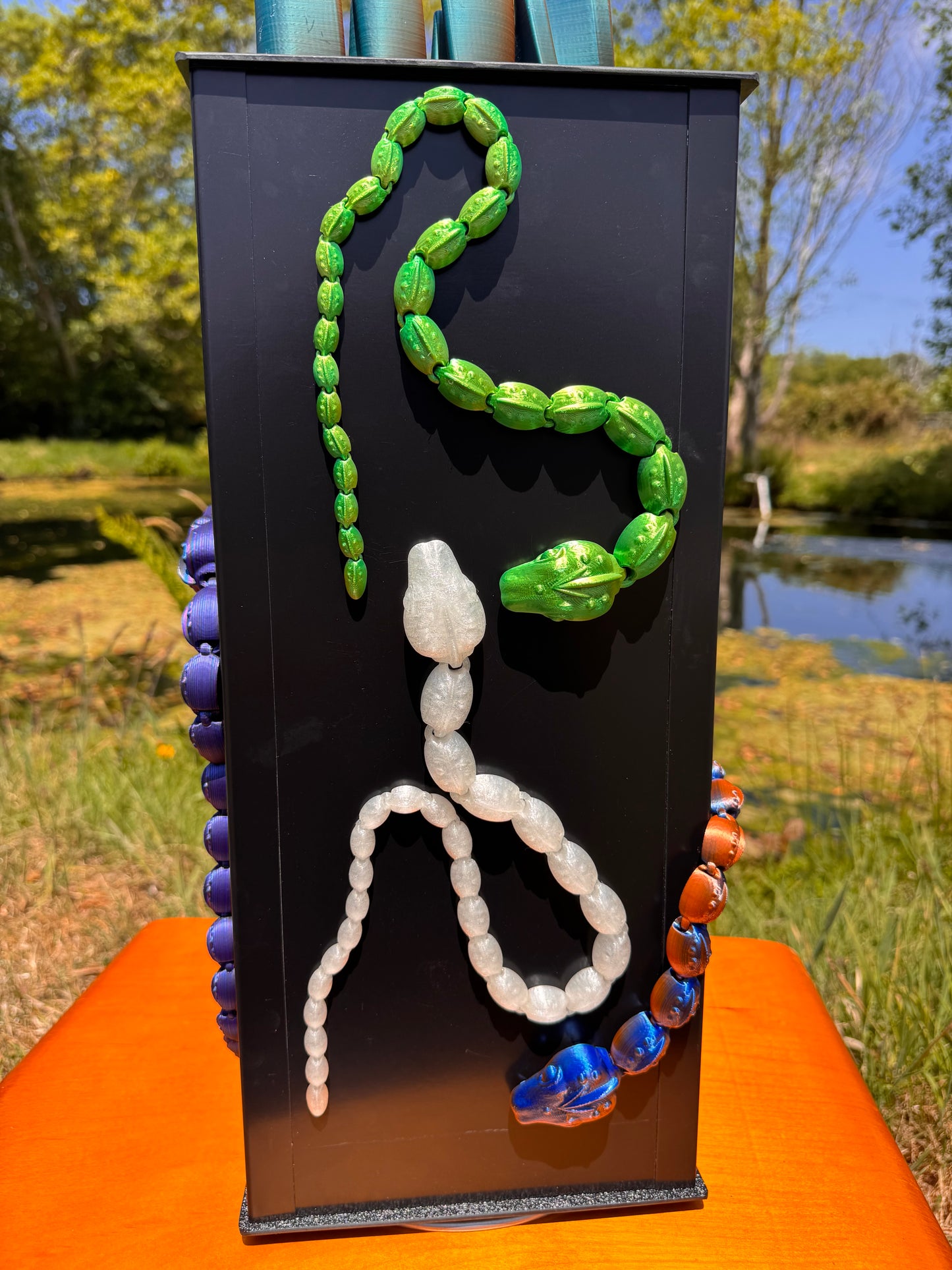 Snake Magnet