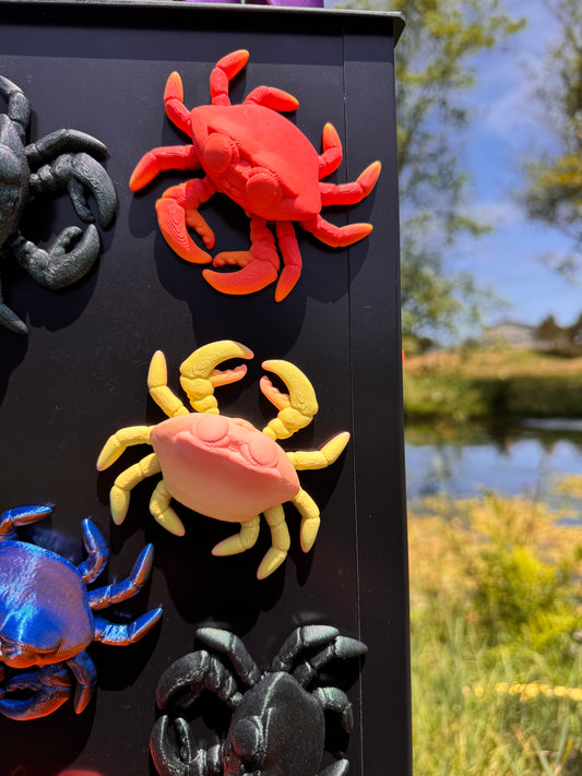 Crab Magnet