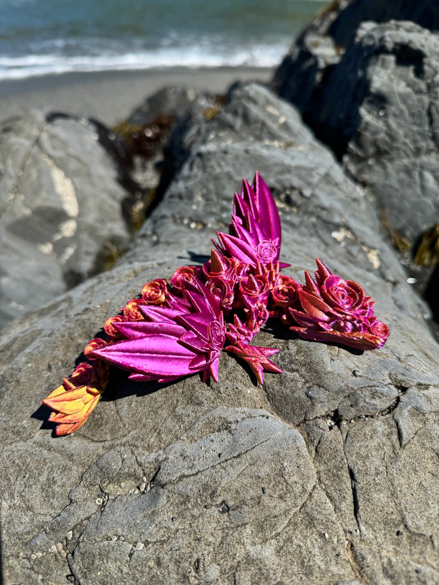 Rose Winged Tadling