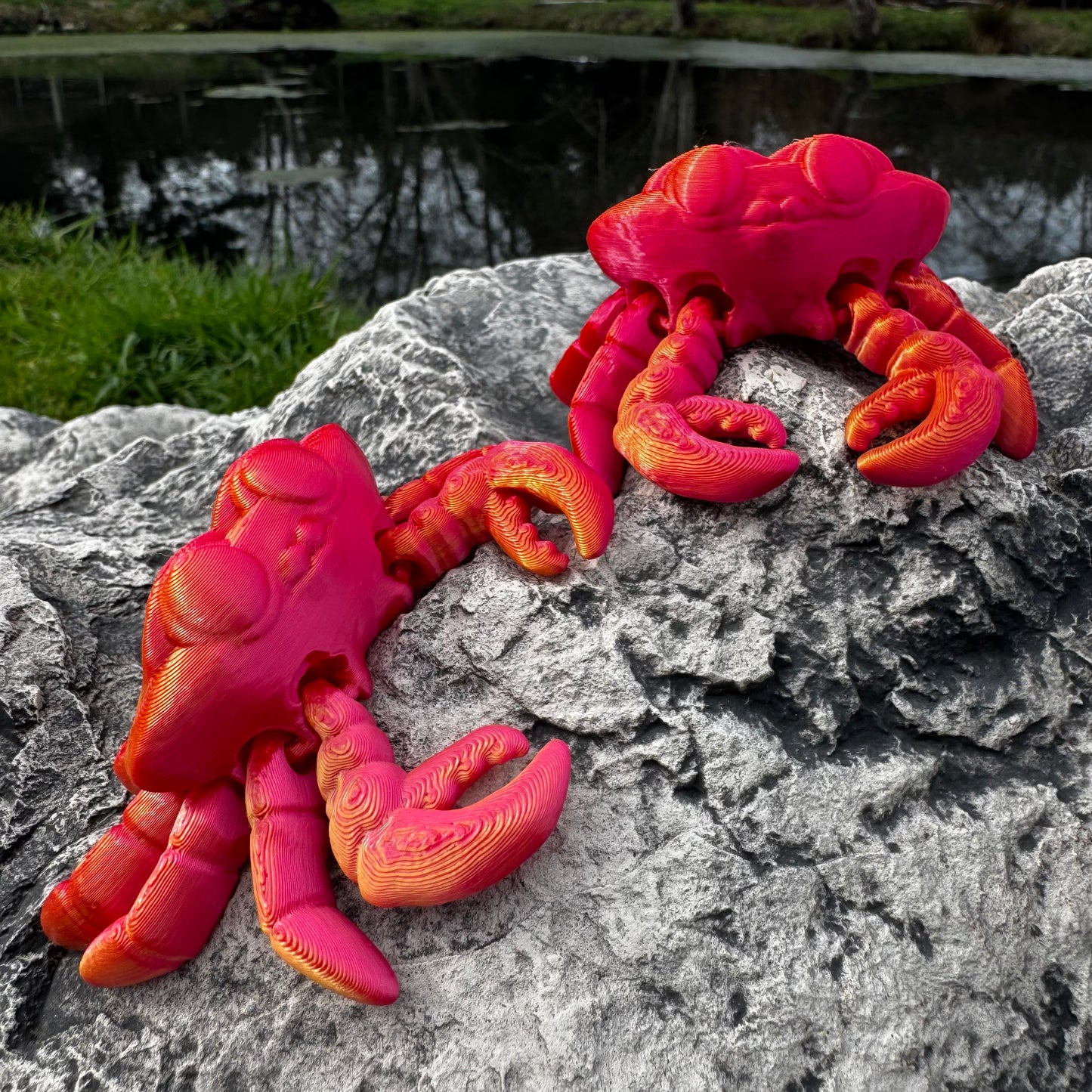 Crab