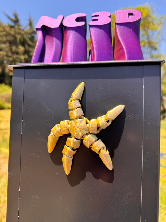 Starfish Magnet