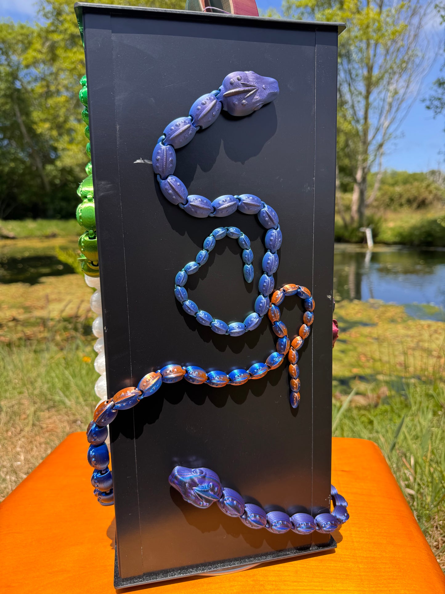 Snake Magnet