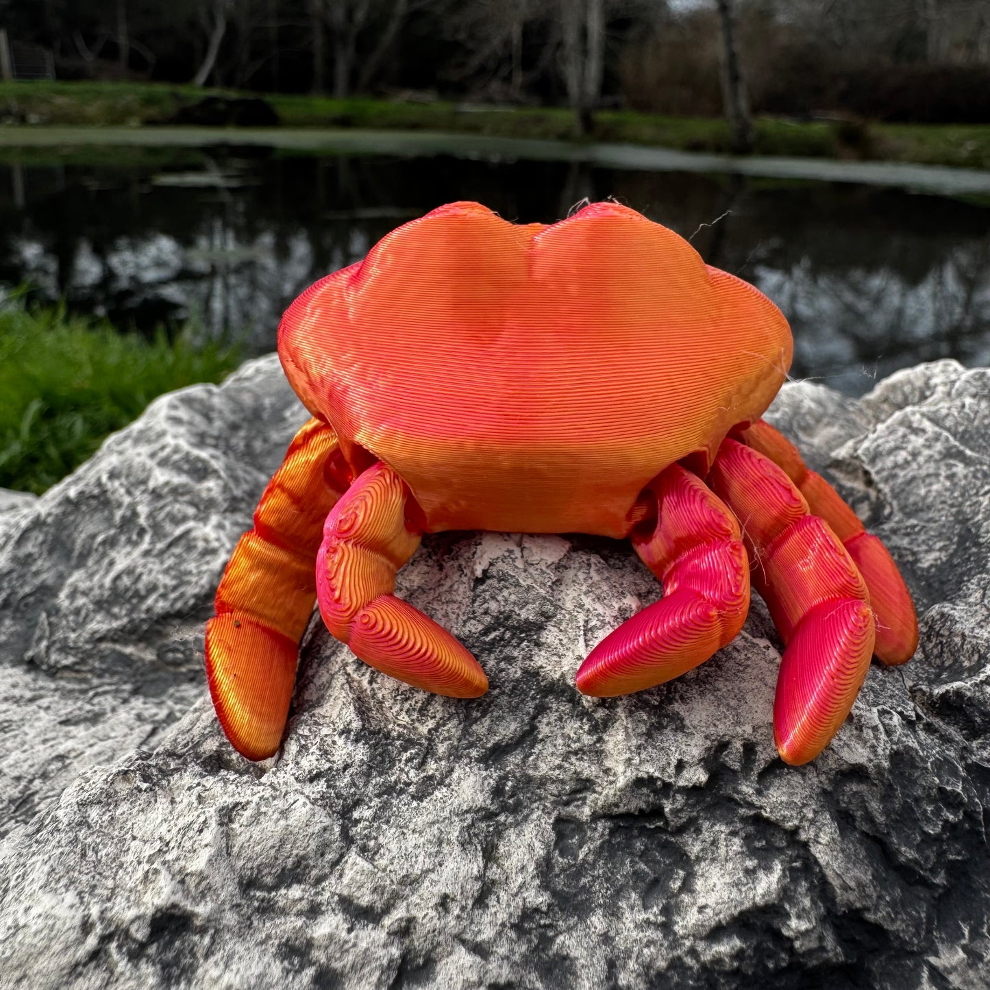 Crab