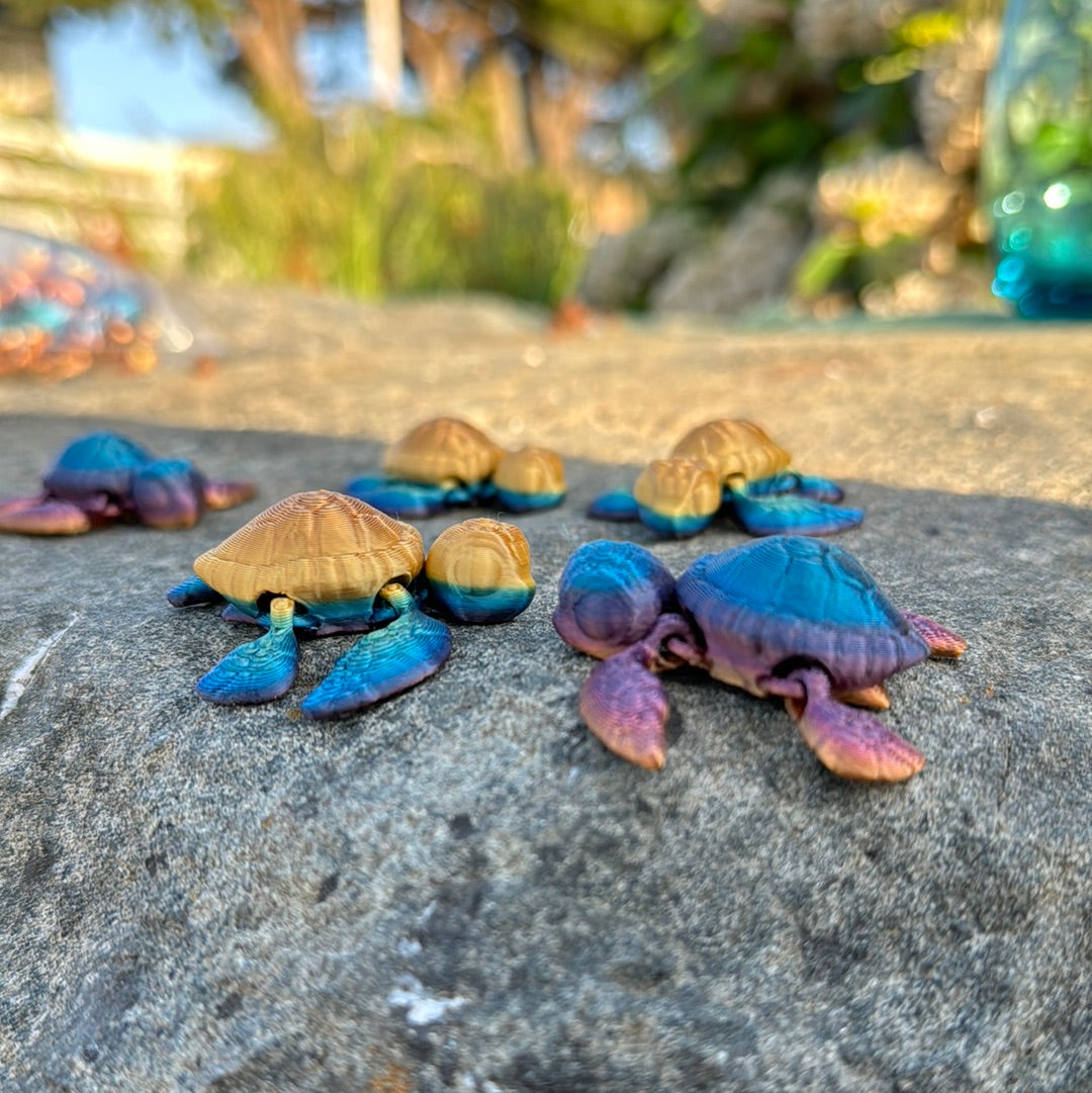 Mini Sea Turtles