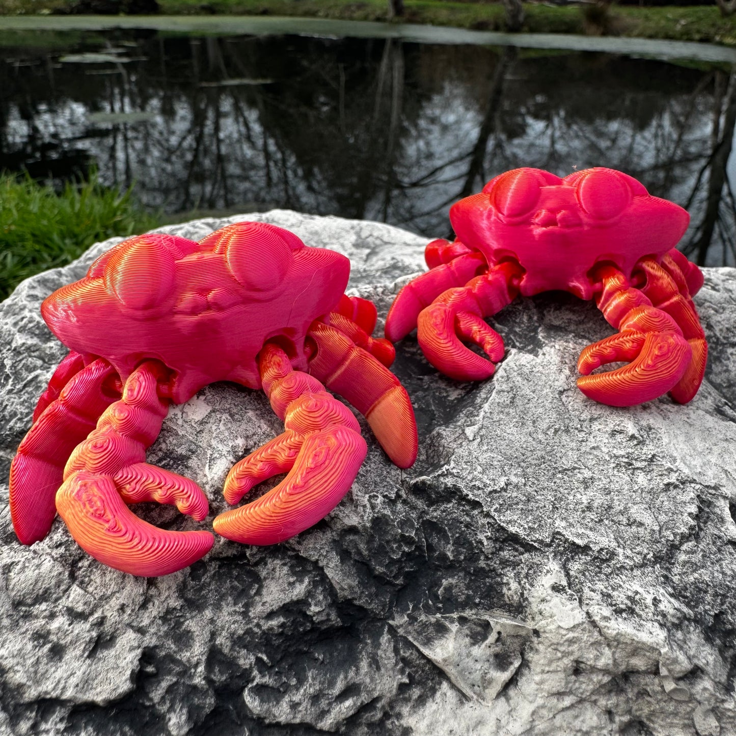 Crab