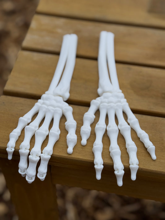 Skeleton Arm