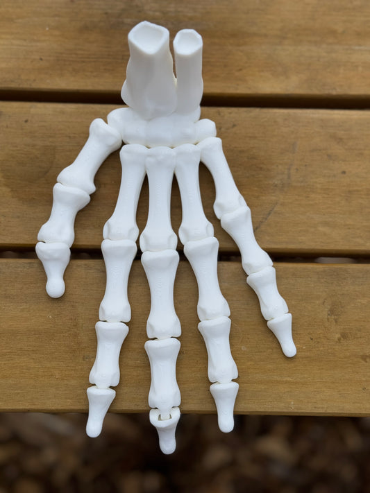 Skeleton Hand
